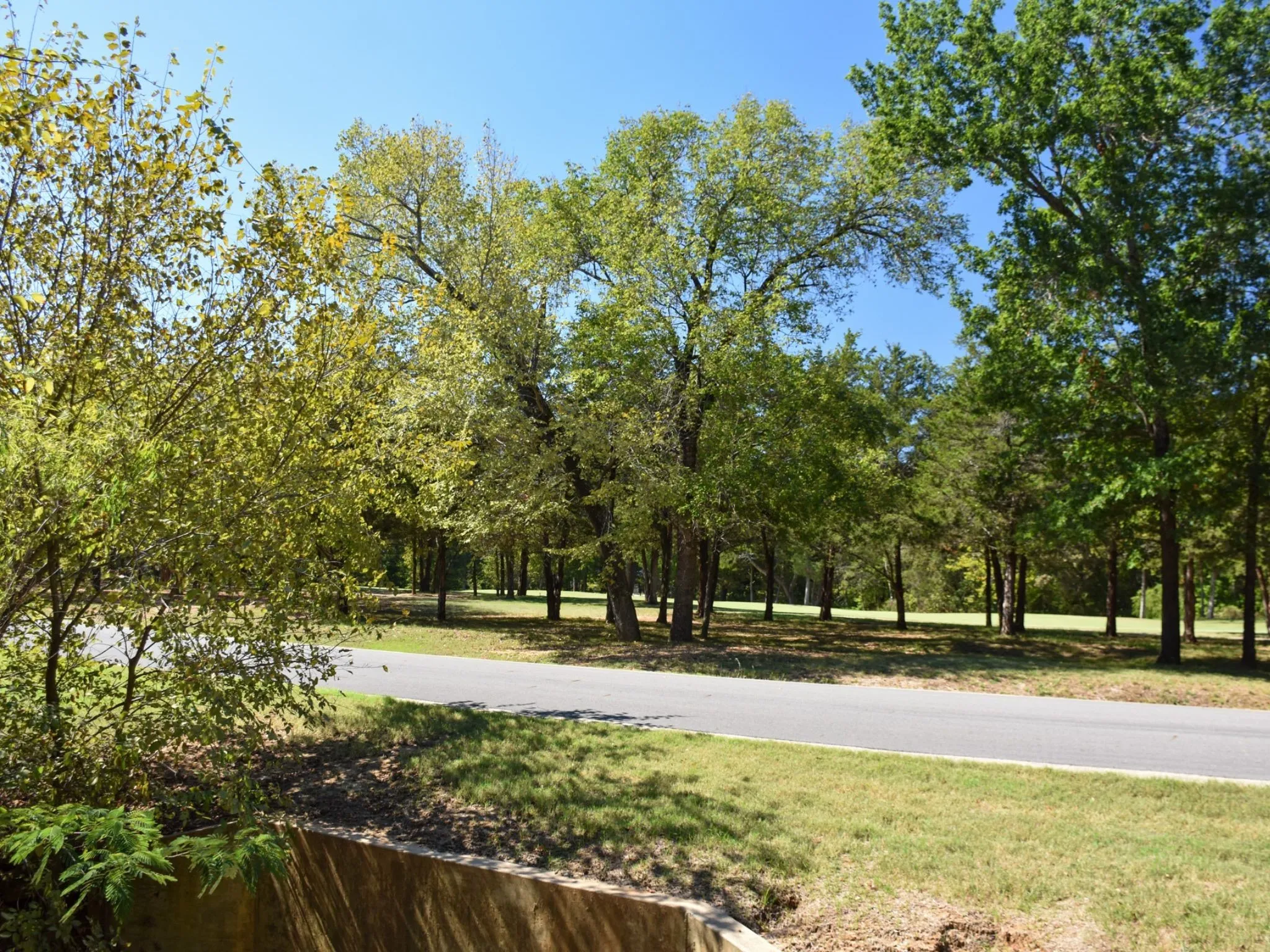 Unimproved Land For Sale in Grayson County , TBD Annadale Lane, Gordonville, Texas 76245, 0, 0, Garage spaces, 0 Sqft, built in 0, mls#20743397, Real Estate Agent in Gordonville, Homes For Sale in Grayson county, Homes For Sale in Gordonville, Realtor in Gordonville Texas, Real Estate Brokerage Independent Realty Texas, Luminita Cordes Realtor
