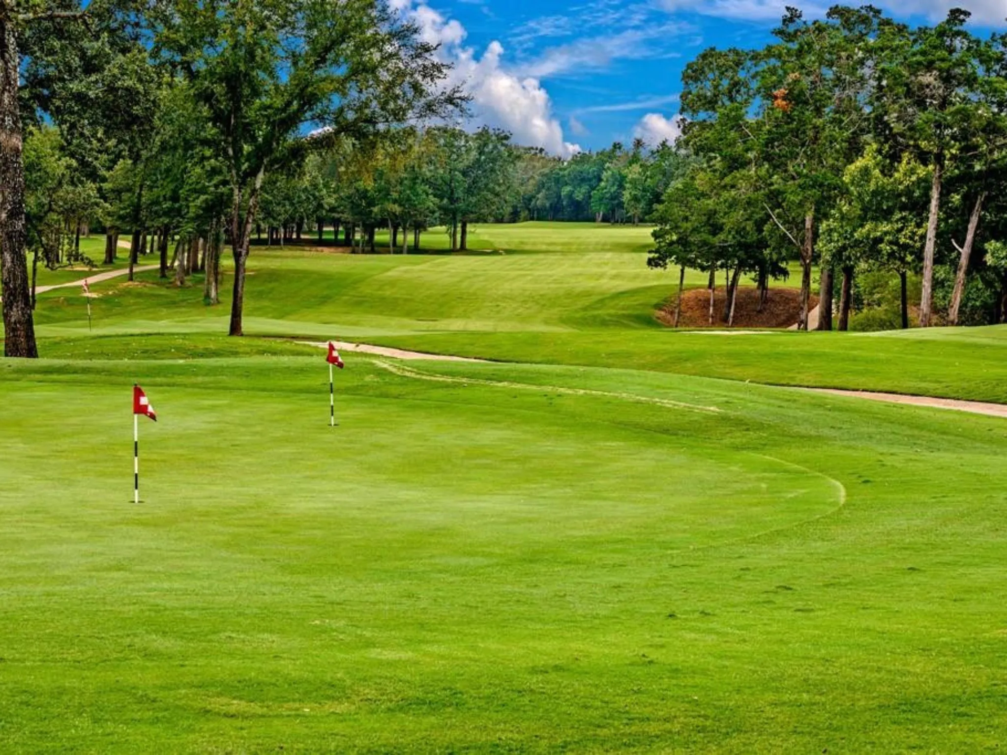Unimproved Land For Sale in Grayson County , TBD Annadale Lane, Gordonville, Texas 76245, 0, 0, Garage spaces, 0 Sqft, built in 0, mls#20743397, Real Estate Agent in Gordonville, Homes For Sale in Grayson county, Homes For Sale in Gordonville, Realtor in Gordonville Texas, Real Estate Brokerage Independent Realty Texas, Luminita Cordes Realtor