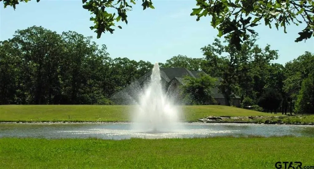 Unimproved Land For Sale in Wood County , V-11 PR 5991, Yantis, Texas 75497, 0, 0, Garage spaces, 0 Sqft, built in 0, mls#20743719, Real Estate Agent in Yantis, Homes For Sale in Wood county, Homes For Sale in Yantis, Realtor in Yantis Texas, Real Estate Brokerage Independent Realty Texas, Luminita Cordes Realtor