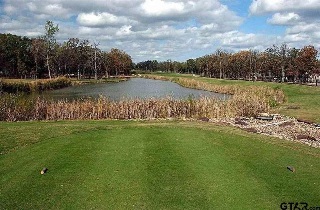 Unimproved Land For Sale in Wood County , V-11 PR 5991, Yantis, Texas 75497, 0, 0, Garage spaces, 0 Sqft, built in 0, mls#20743719, Real Estate Agent in Yantis, Homes For Sale in Wood county, Homes For Sale in Yantis, Realtor in Yantis Texas, Real Estate Brokerage Independent Realty Texas, Luminita Cordes Realtor