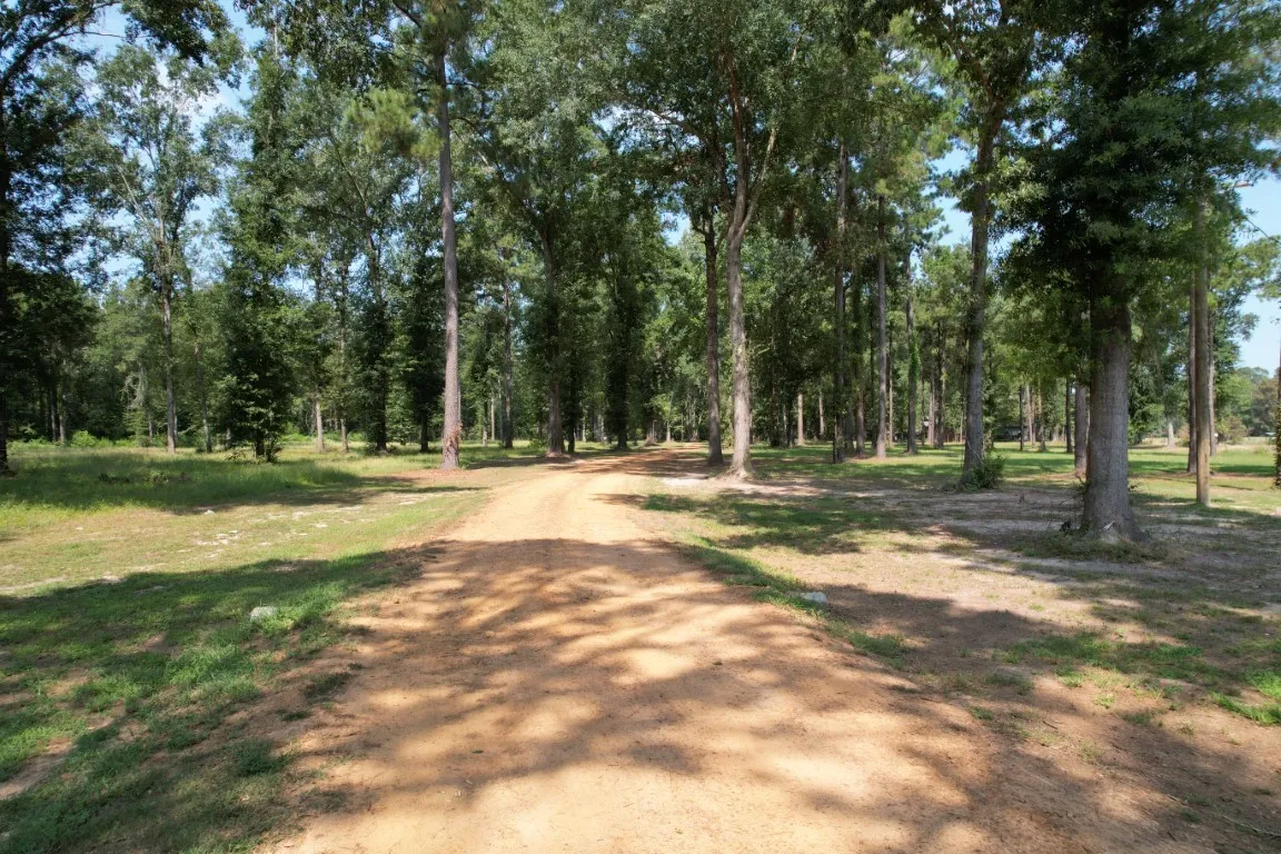 Improved Land For Sale in Shelby County , TBD (Lot 1) County Road 3545, Joaquin, Texas 75954, 0, 0, Garage spaces, 0 Sqft, built in 0, Price $89,500, mls#20743923, Real Estate Agent in Joaquin, Homes For Sale in Shelby county, Homes For Sale in Joaquin, Realtor in Joaquin Texas, Real Estate Brokerage Independent Realty Texas, Luminita Cordes Realtor