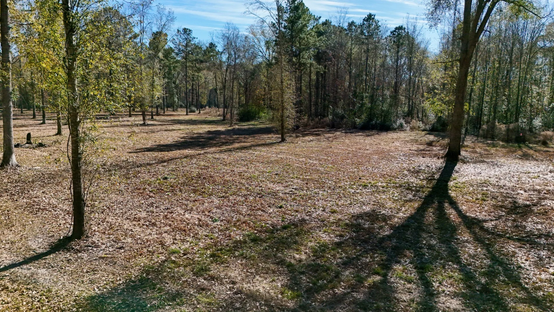 Improved Land For Sale in Shelby County , TBD (Lot 1) County Road 3545, Joaquin, Texas 75954, 0, 0, Garage spaces, 0 Sqft, built in 0, Price $89,500, mls#20743923, Real Estate Agent in Joaquin, Homes For Sale in Shelby county, Homes For Sale in Joaquin, Realtor in Joaquin Texas, Real Estate Brokerage Independent Realty Texas, Luminita Cordes Realtor