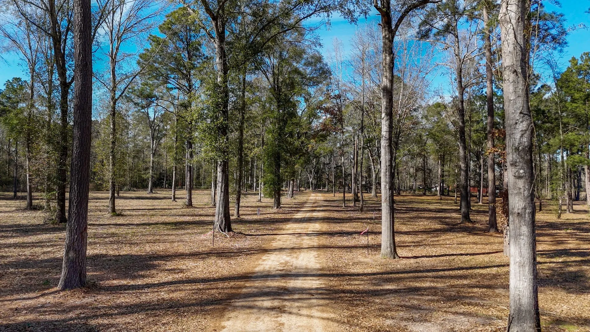 Improved Land For Sale in Shelby County , TBD (Lot 1) County Road 3545, Joaquin, Texas 75954, 0, 0, Garage spaces, 0 Sqft, built in 0, Price $89,500, mls#20743923, Real Estate Agent in Joaquin, Homes For Sale in Shelby county, Homes For Sale in Joaquin, Realtor in Joaquin Texas, Real Estate Brokerage Independent Realty Texas, Luminita Cordes Realtor
