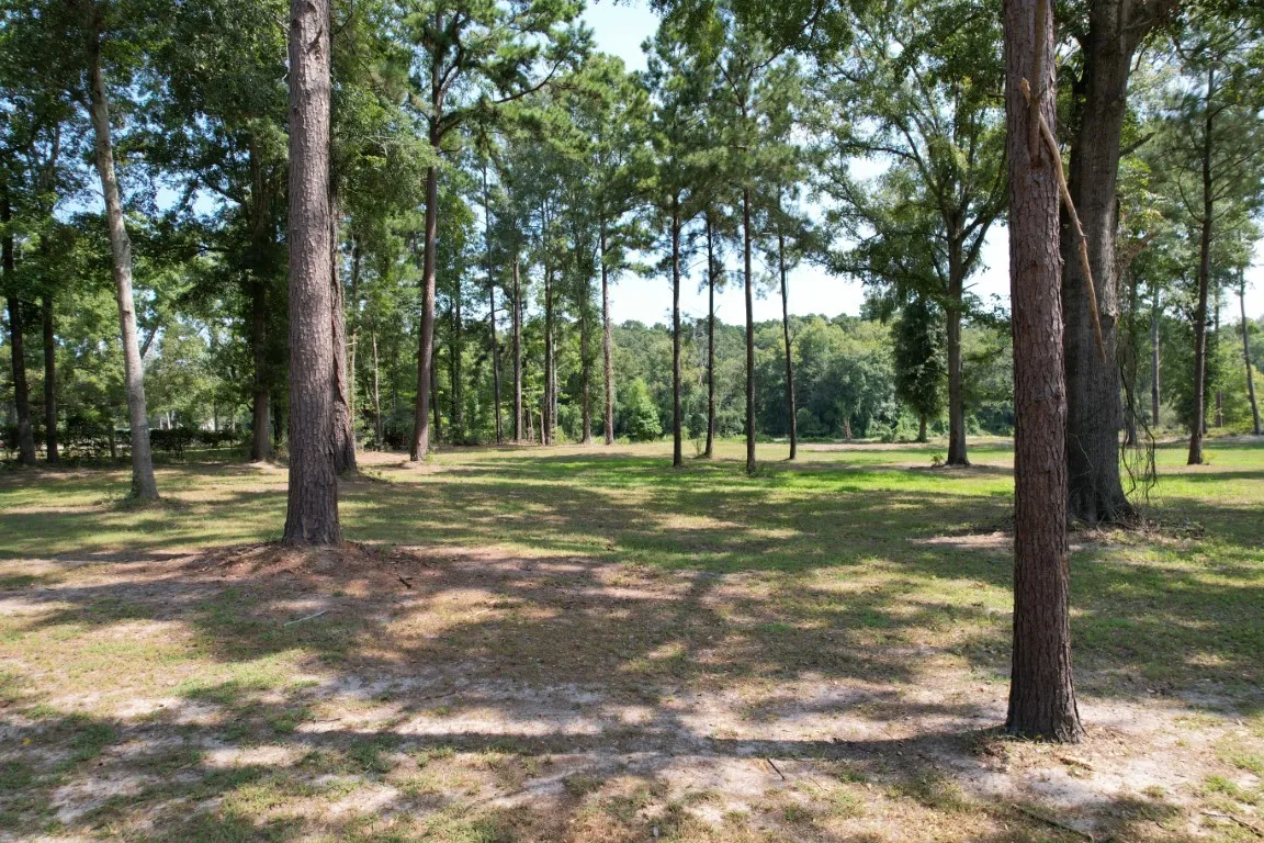 Improved Land For Sale in Shelby County , TBD (Lot 1) County Road 3545, Joaquin, Texas 75954, 0, 0, Garage spaces, 0 Sqft, built in 0, Price $89,500, mls#20743923, Real Estate Agent in Joaquin, Homes For Sale in Shelby county, Homes For Sale in Joaquin, Realtor in Joaquin Texas, Real Estate Brokerage Independent Realty Texas, Luminita Cordes Realtor