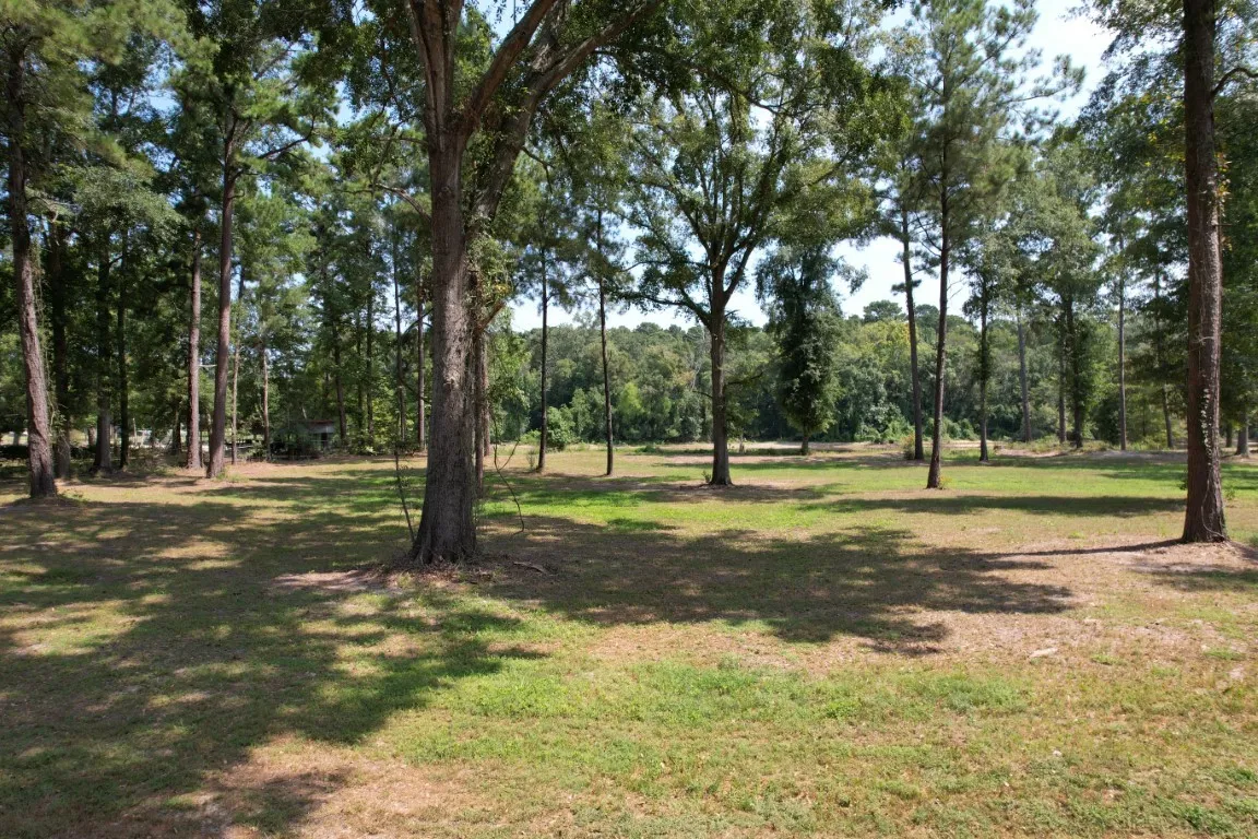 Improved Land For Sale in Shelby County , TBD (Lot 1) County Road 3545, Joaquin, Texas 75954, 0, 0, Garage spaces, 0 Sqft, built in 0, Price $89,500, mls#20743923, Real Estate Agent in Joaquin, Homes For Sale in Shelby county, Homes For Sale in Joaquin, Realtor in Joaquin Texas, Real Estate Brokerage Independent Realty Texas, Luminita Cordes Realtor