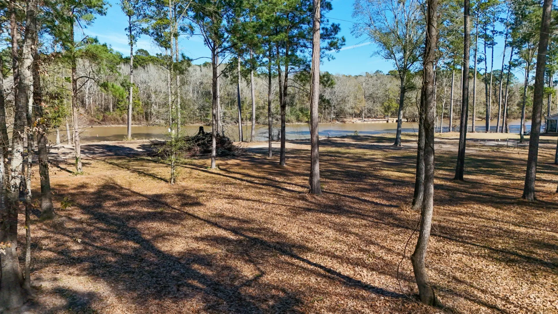 Improved Land For Sale in Shelby County , TBD (Lot 1) County Road 3545, Joaquin, Texas 75954, 0, 0, Garage spaces, 0 Sqft, built in 0, Price $89,500, mls#20743923, Real Estate Agent in Joaquin, Homes For Sale in Shelby county, Homes For Sale in Joaquin, Realtor in Joaquin Texas, Real Estate Brokerage Independent Realty Texas, Luminita Cordes Realtor