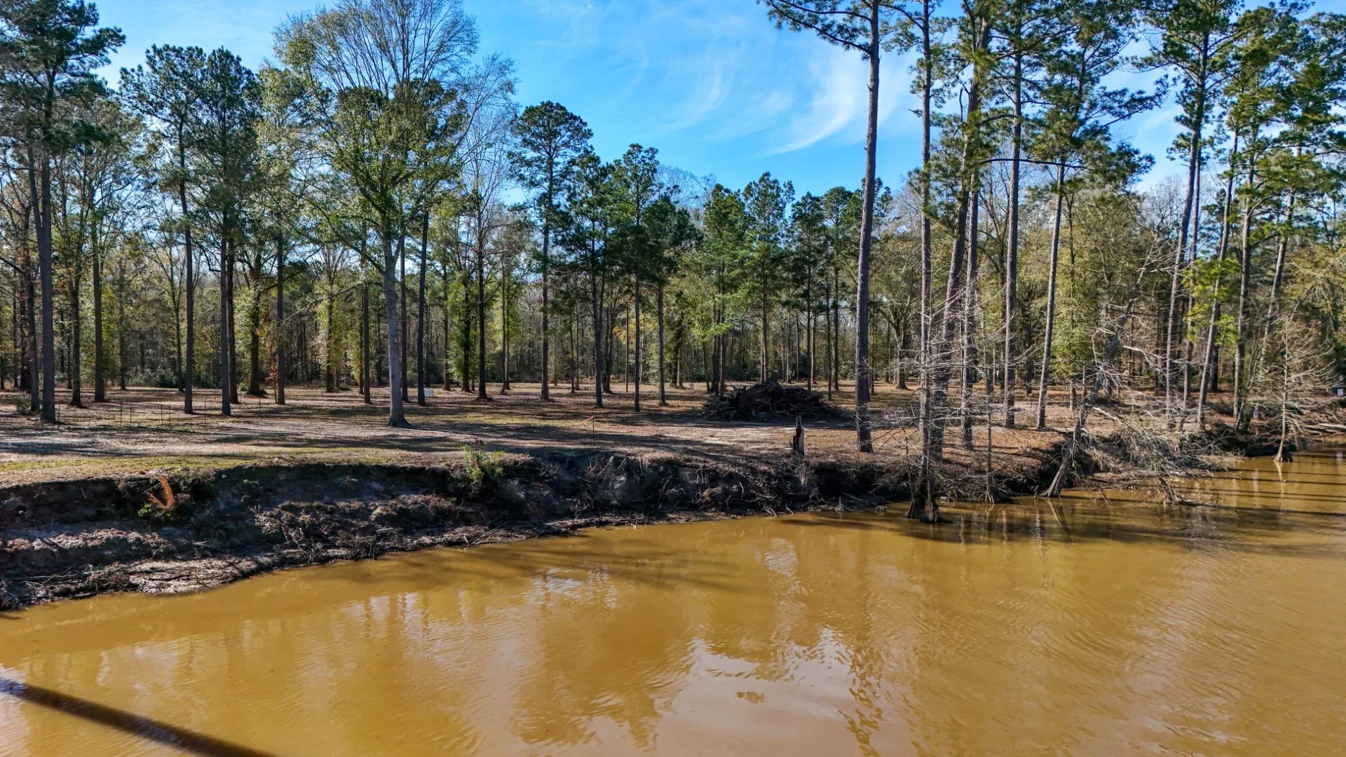 Improved Land For Sale in Shelby County , TBD (Lot 1) County Road 3545, Joaquin, Texas 75954, 0, 0, Garage spaces, 0 Sqft, built in 0, Price $89,500, mls#20743923, Real Estate Agent in Joaquin, Homes For Sale in Shelby county, Homes For Sale in Joaquin, Realtor in Joaquin Texas, Real Estate Brokerage Independent Realty Texas, Luminita Cordes Realtor