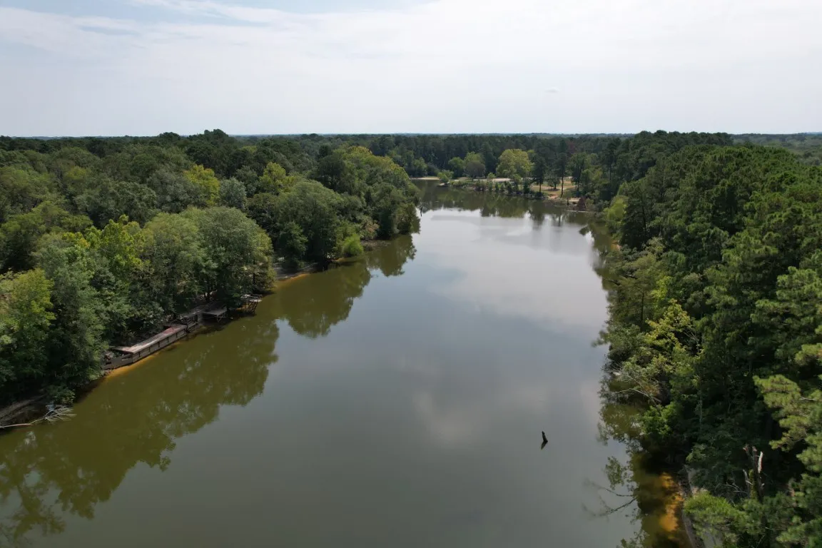 Improved Land For Sale in Shelby County , TBD (Lot 1) County Road 3545, Joaquin, Texas 75954, 0, 0, Garage spaces, 0 Sqft, built in 0, Price $89,500, mls#20743923, Real Estate Agent in Joaquin, Homes For Sale in Shelby county, Homes For Sale in Joaquin, Realtor in Joaquin Texas, Real Estate Brokerage Independent Realty Texas, Luminita Cordes Realtor