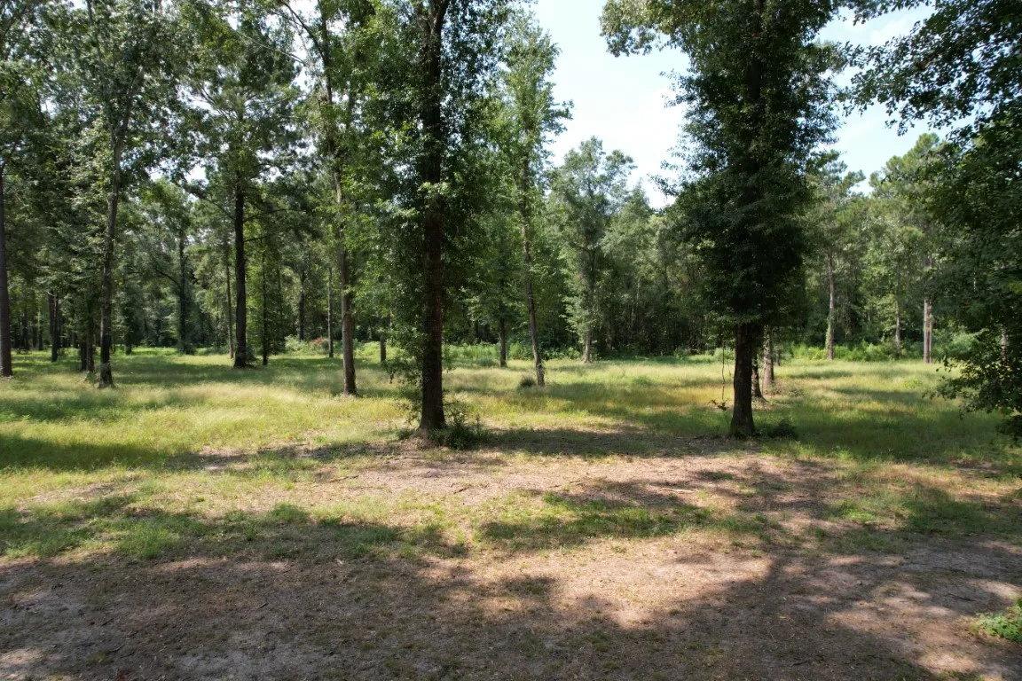 Improved Land For Sale in Shelby County , TBD (Lot 1) County Road 3545, Joaquin, Texas 75954, 0, 0, Garage spaces, 0 Sqft, built in 0, Price $89,500, mls#20743923, Real Estate Agent in Joaquin, Homes For Sale in Shelby county, Homes For Sale in Joaquin, Realtor in Joaquin Texas, Real Estate Brokerage Independent Realty Texas, Luminita Cordes Realtor