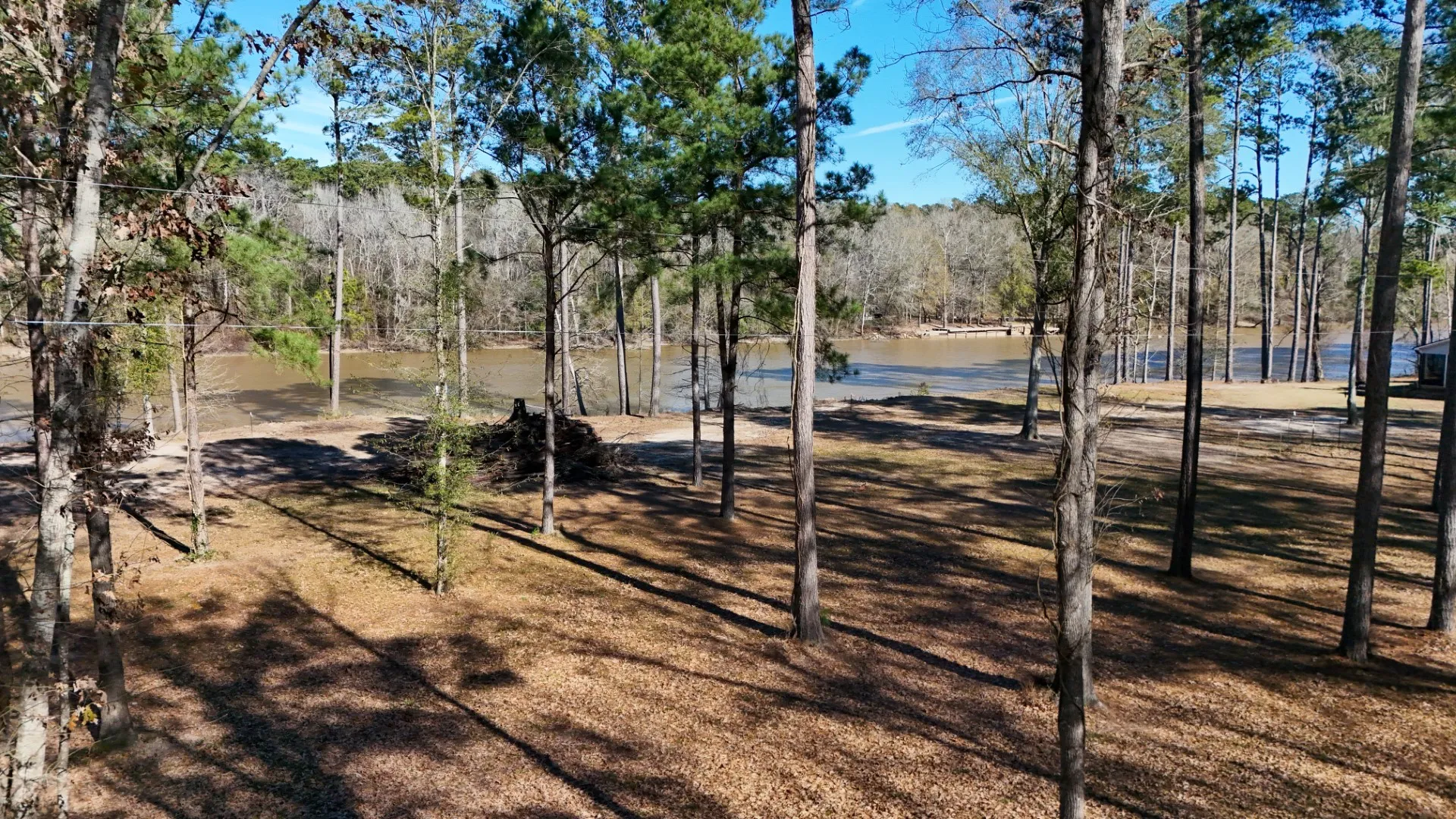 Improved Land For Sale in Shelby County , TBD (Lot 1) County Road 3545, Joaquin, Texas 75954, 0, 0, Garage spaces, 0 Sqft, built in 0, Price $89,500, mls#20743923, Real Estate Agent in Joaquin, Homes For Sale in Shelby county, Homes For Sale in Joaquin, Realtor in Joaquin Texas, Real Estate Brokerage Independent Realty Texas, Luminita Cordes Realtor
