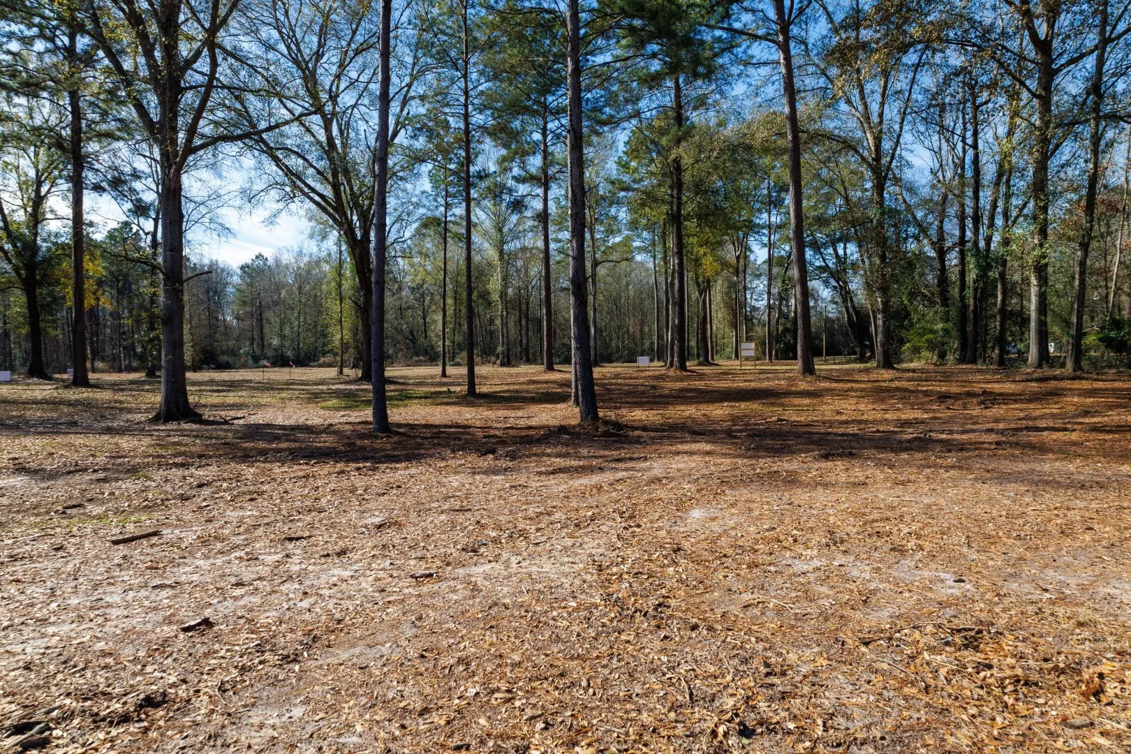 Improved Land For Sale in Shelby County , TBD (Lot 1) County Road 3545, Joaquin, Texas 75954, 0, 0, Garage spaces, 0 Sqft, built in 0, Price $89,500, mls#20743923, Real Estate Agent in Joaquin, Homes For Sale in Shelby county, Homes For Sale in Joaquin, Realtor in Joaquin Texas, Real Estate Brokerage Independent Realty Texas, Luminita Cordes Realtor