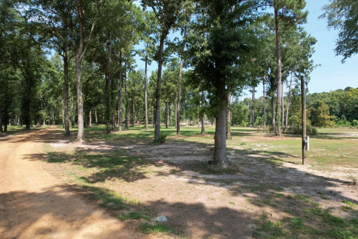 Improved Land For Sale in Shelby County , TBD (Lot 1) County Road 3545, Joaquin, Texas 75954, 0, 0, Garage spaces, 0 Sqft, built in 0, Price $89,500, mls#20743923, Real Estate Agent in Joaquin, Homes For Sale in Shelby county, Homes For Sale in Joaquin, Realtor in Joaquin Texas, Real Estate Brokerage Independent Realty Texas, Luminita Cordes Realtor
