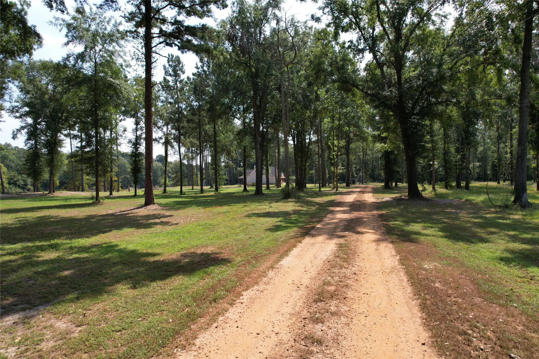Improved Land For Sale in Shelby County , TBD (Lot 1) County Road 3545, Joaquin, Texas 75954, 0, 0, Garage spaces, 0 Sqft, built in 0, Price $89,500, mls#20743923, Real Estate Agent in Joaquin, Homes For Sale in Shelby county, Homes For Sale in Joaquin, Realtor in Joaquin Texas, Real Estate Brokerage Independent Realty Texas, Luminita Cordes Realtor