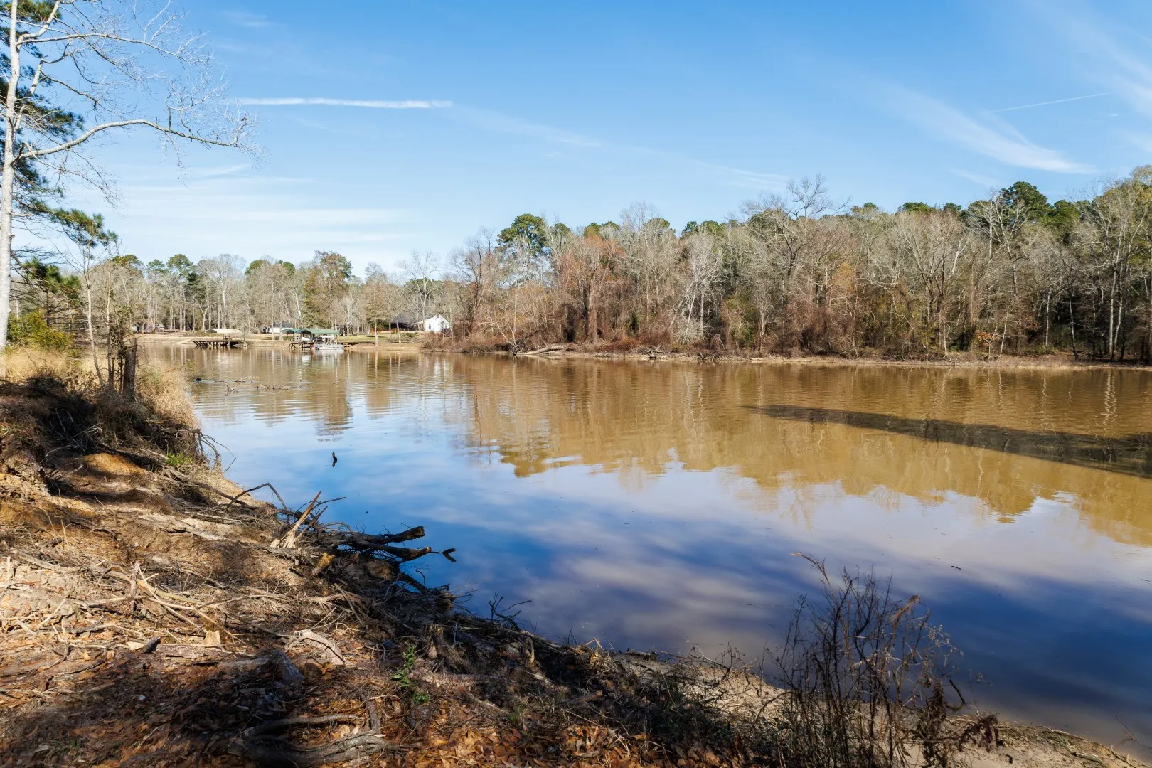 Improved Land For Sale in Shelby County , TBD (Lot 1) County Road 3545, Joaquin, Texas 75954, 0, 0, Garage spaces, 0 Sqft, built in 0, Price $89,500, mls#20743923, Real Estate Agent in Joaquin, Homes For Sale in Shelby county, Homes For Sale in Joaquin, Realtor in Joaquin Texas, Real Estate Brokerage Independent Realty Texas, Luminita Cordes Realtor