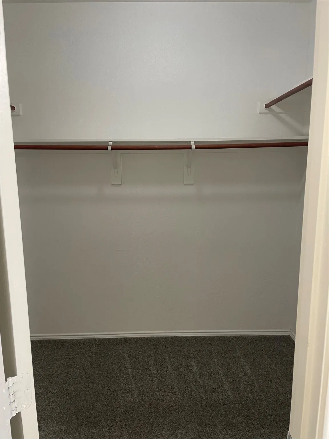 Spacious closet featuring dark colored carpet