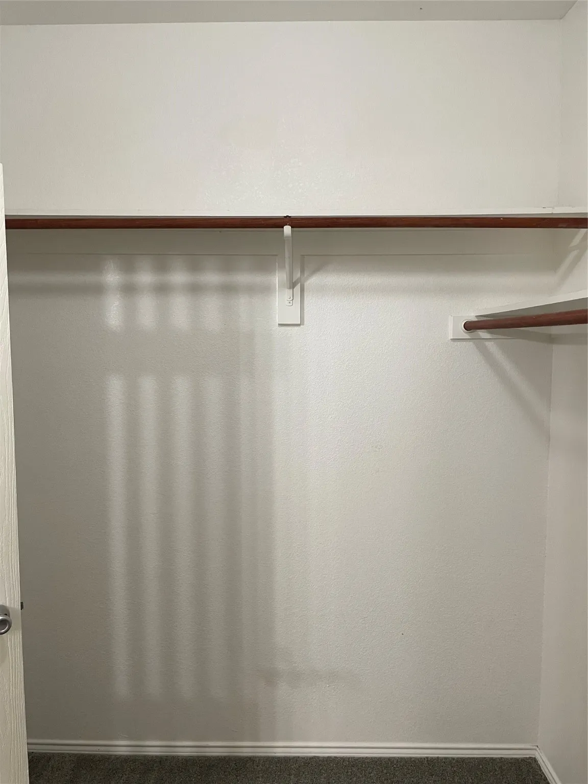 Walk in closet with carpet floors