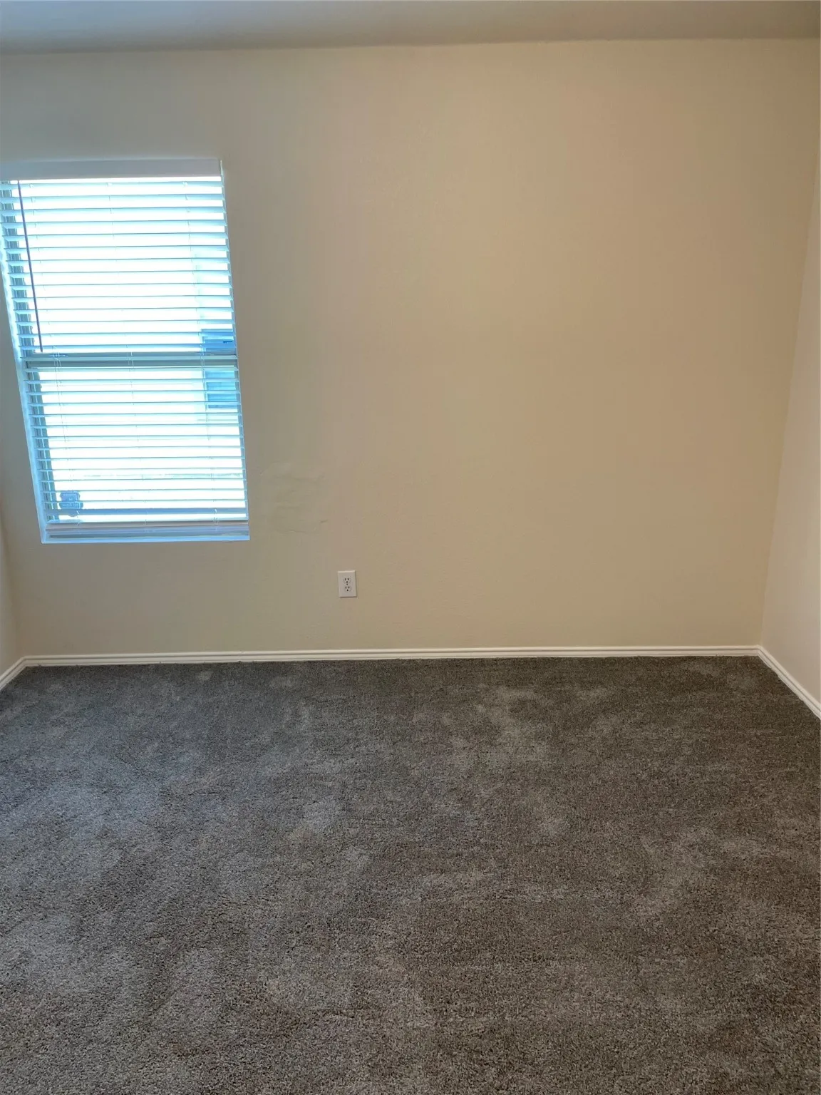 Carpeted empty room with a healthy amount of sunlight