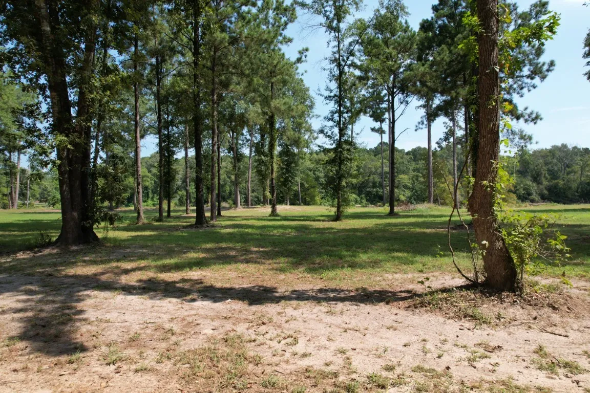 Improved Land For Sale in Shelby County , TBD (Lot 6) County Road 3545, Joaquin, Texas 75954, 0, 0, Garage spaces, 0 Sqft, built in 0, Price $69,500, mls#20745201, Real Estate Agent in Joaquin, Homes For Sale in Shelby county, Homes For Sale in Joaquin, Realtor in Joaquin Texas, Real Estate Brokerage Independent Realty Texas, Luminita Cordes Realtor