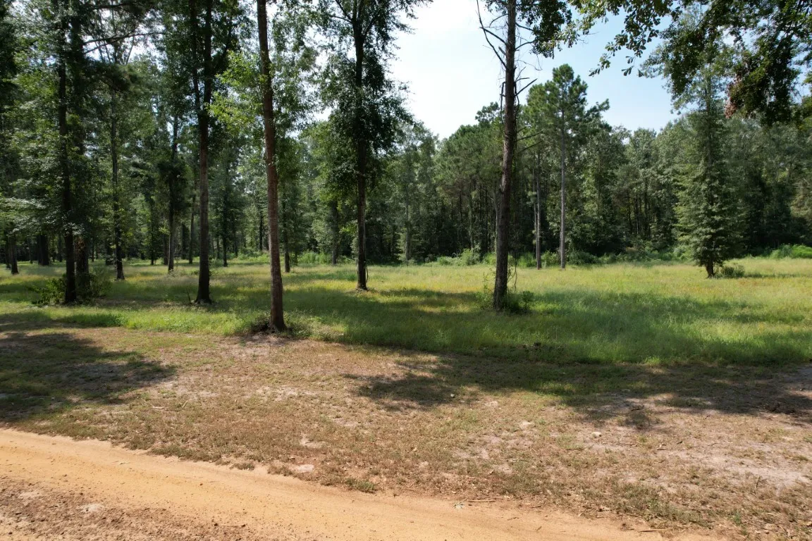 Improved Land For Sale in Shelby County , TBD (Lot 6) County Road 3545, Joaquin, Texas 75954, 0, 0, Garage spaces, 0 Sqft, built in 0, Price $69,500, mls#20745201, Real Estate Agent in Joaquin, Homes For Sale in Shelby county, Homes For Sale in Joaquin, Realtor in Joaquin Texas, Real Estate Brokerage Independent Realty Texas, Luminita Cordes Realtor