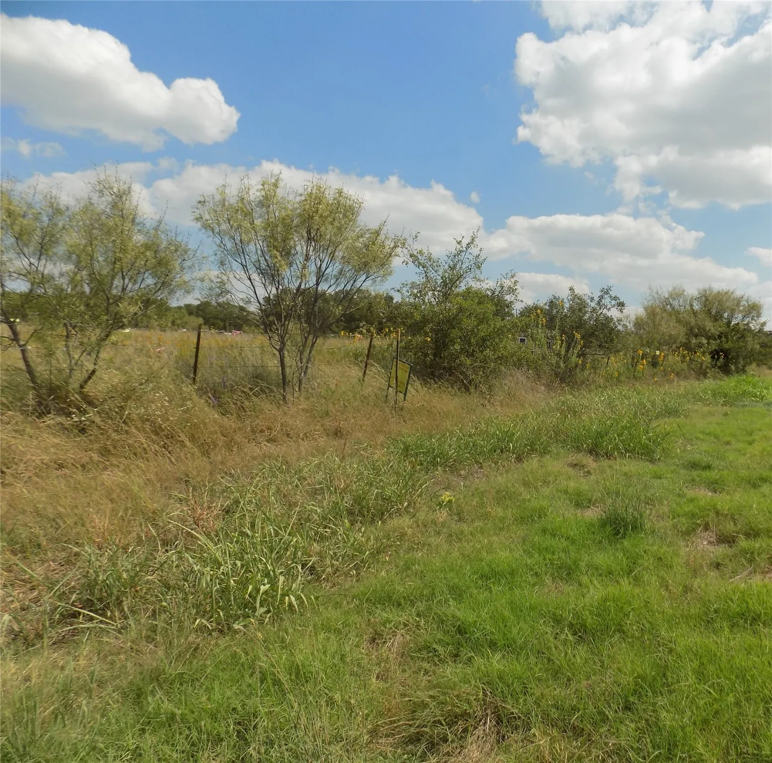 Unimproved Land For Sale in Wise County , 13000 W 199 Highway, Poolville, Texas 76487, 0, 0, Garage spaces, 0 Sqft, built in 0, mls#20747012, Real Estate Agent in Poolville, Homes For Sale in Wise county, Homes For Sale in Poolville, Realtor in Poolville Texas, Real Estate Brokerage Independent Realty Texas, Luminita Cordes Realtor