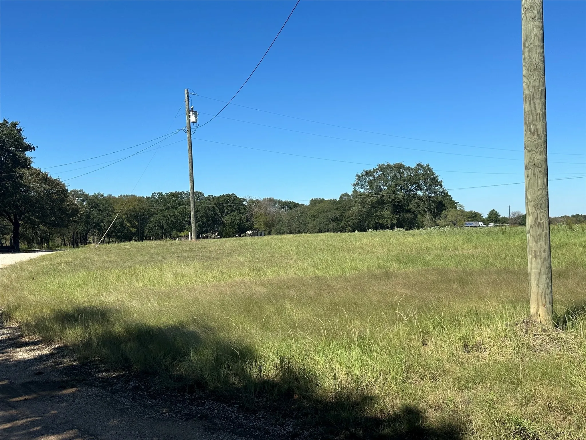 View of local wilderness with a rural view