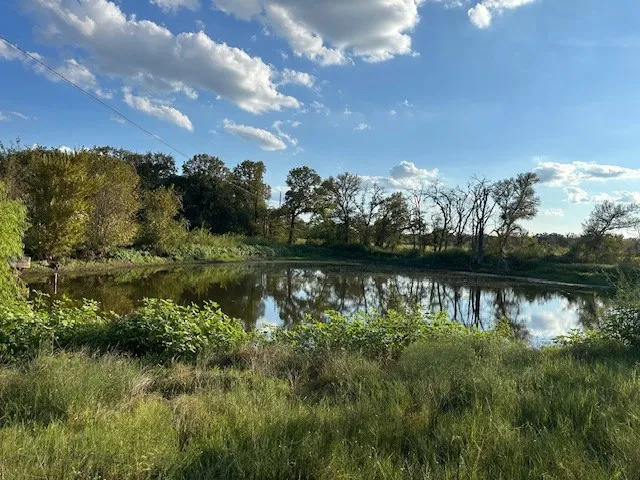 Pond