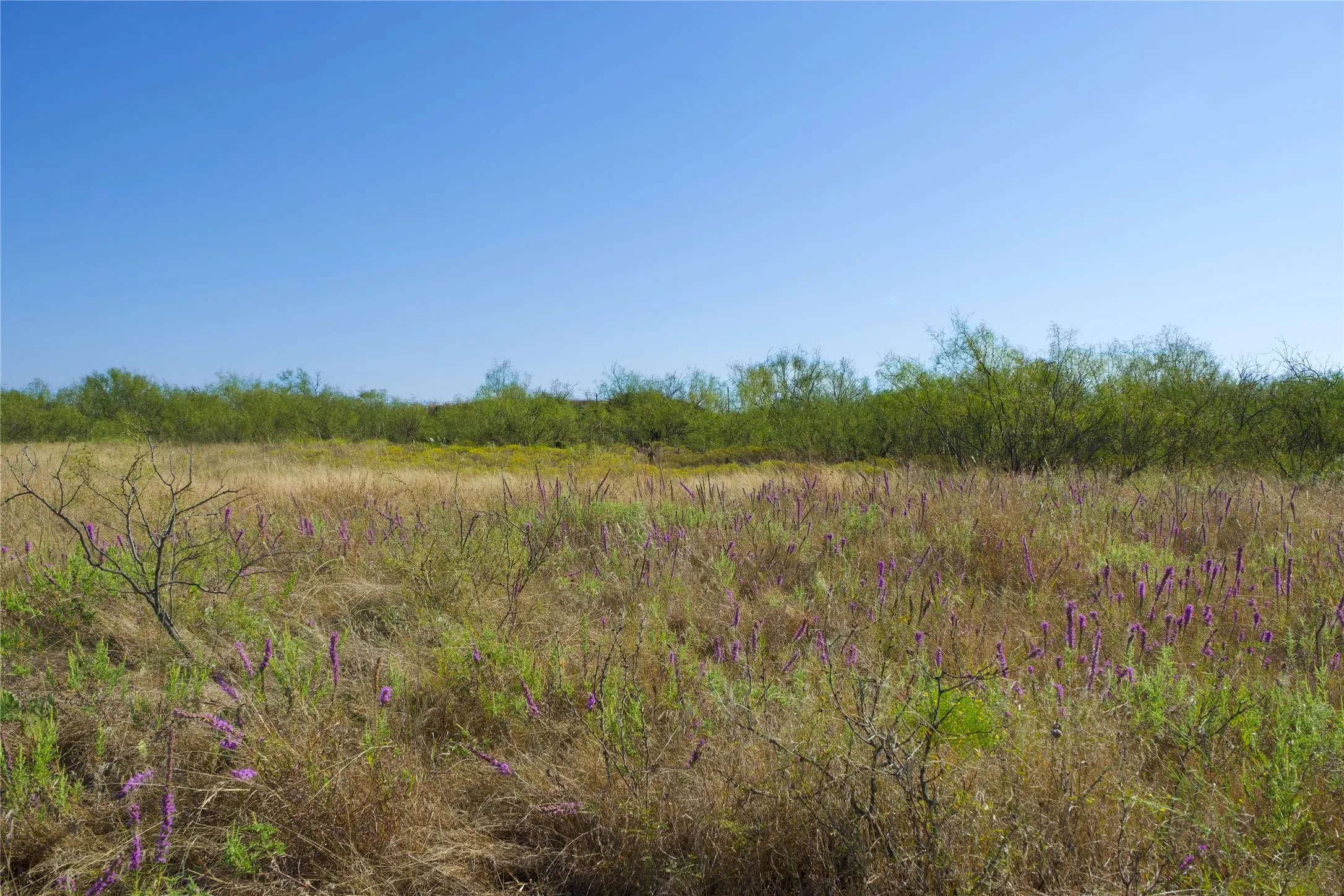 Ranch For Sale in Montague County , TBD HWY 81, Ringgold, Texas 76261, 0, 0, Garage spaces, 0 Sqft, built in 0, mls#20747254, Real Estate Agent in Ringgold, Homes For Sale in Montague county, Homes For Sale in Ringgold, Realtor in Ringgold Texas, Real Estate Brokerage Independent Realty Texas, Luminita Cordes Realtor