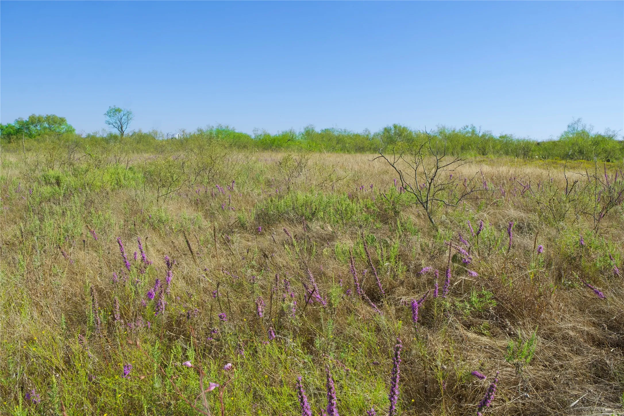 Ranch For Sale in Montague County , TBD HWY 81, Ringgold, Texas 76261, 0, 0, Garage spaces, 0 Sqft, built in 0, mls#20747254, Real Estate Agent in Ringgold, Homes For Sale in Montague county, Homes For Sale in Ringgold, Realtor in Ringgold Texas, Real Estate Brokerage Independent Realty Texas, Luminita Cordes Realtor