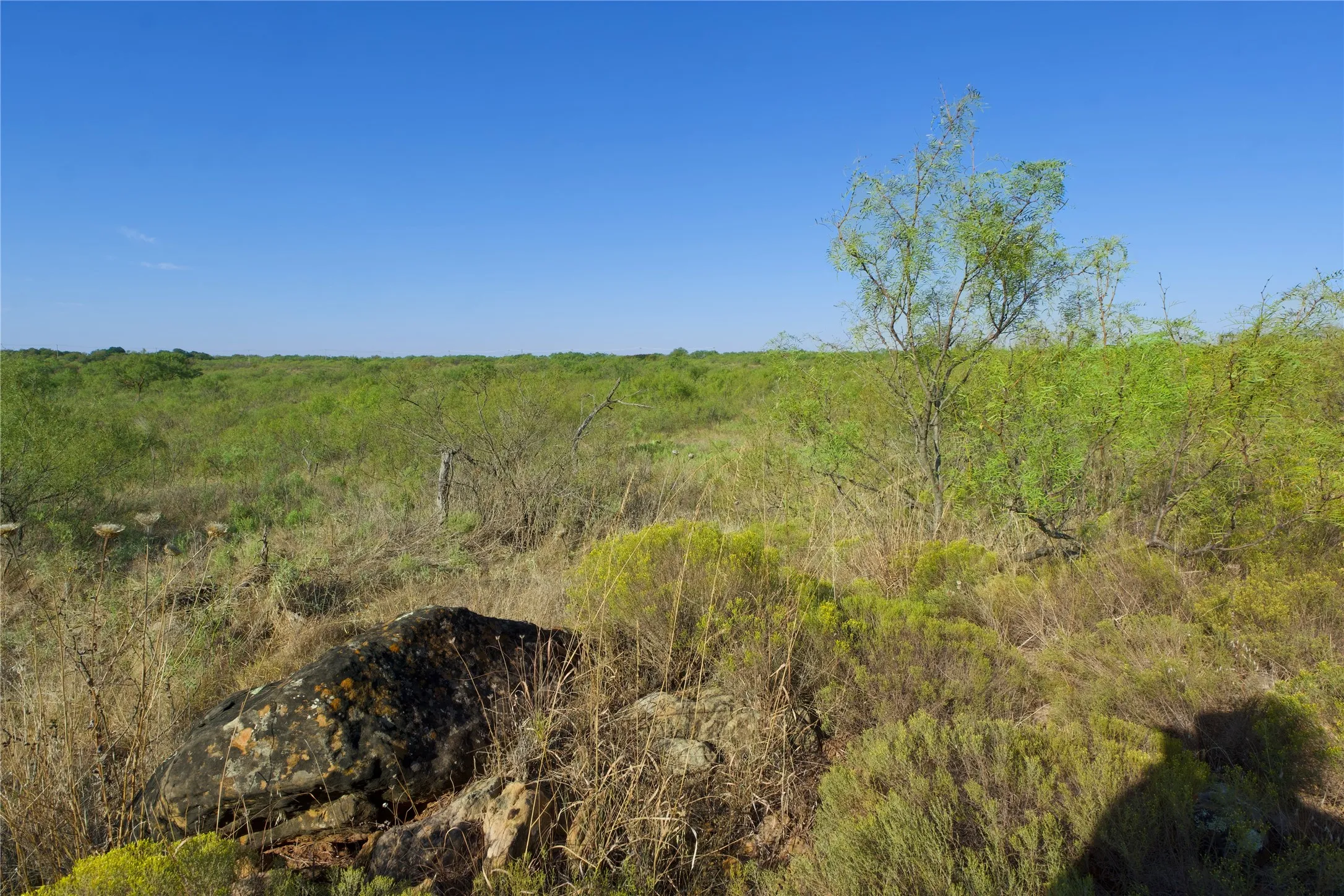 Ranch For Sale in Montague County , TBD HWY 81, Ringgold, Texas 76261, 0, 0, Garage spaces, 0 Sqft, built in 0, mls#20747254, Real Estate Agent in Ringgold, Homes For Sale in Montague county, Homes For Sale in Ringgold, Realtor in Ringgold Texas, Real Estate Brokerage Independent Realty Texas, Luminita Cordes Realtor