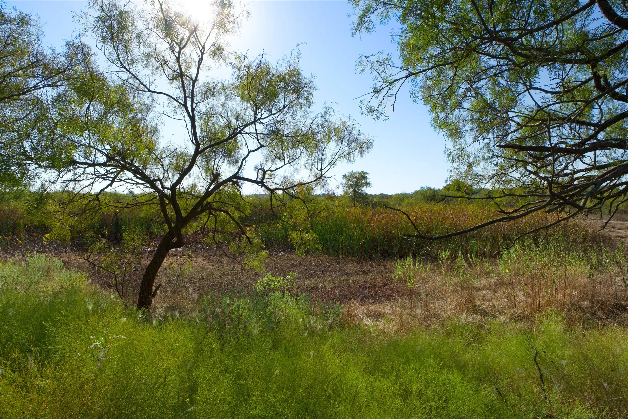 Ranch For Sale in Montague County , TBD HWY 81, Ringgold, Texas 76261, 0, 0, Garage spaces, 0 Sqft, built in 0, mls#20747254, Real Estate Agent in Ringgold, Homes For Sale in Montague county, Homes For Sale in Ringgold, Realtor in Ringgold Texas, Real Estate Brokerage Independent Realty Texas, Luminita Cordes Realtor