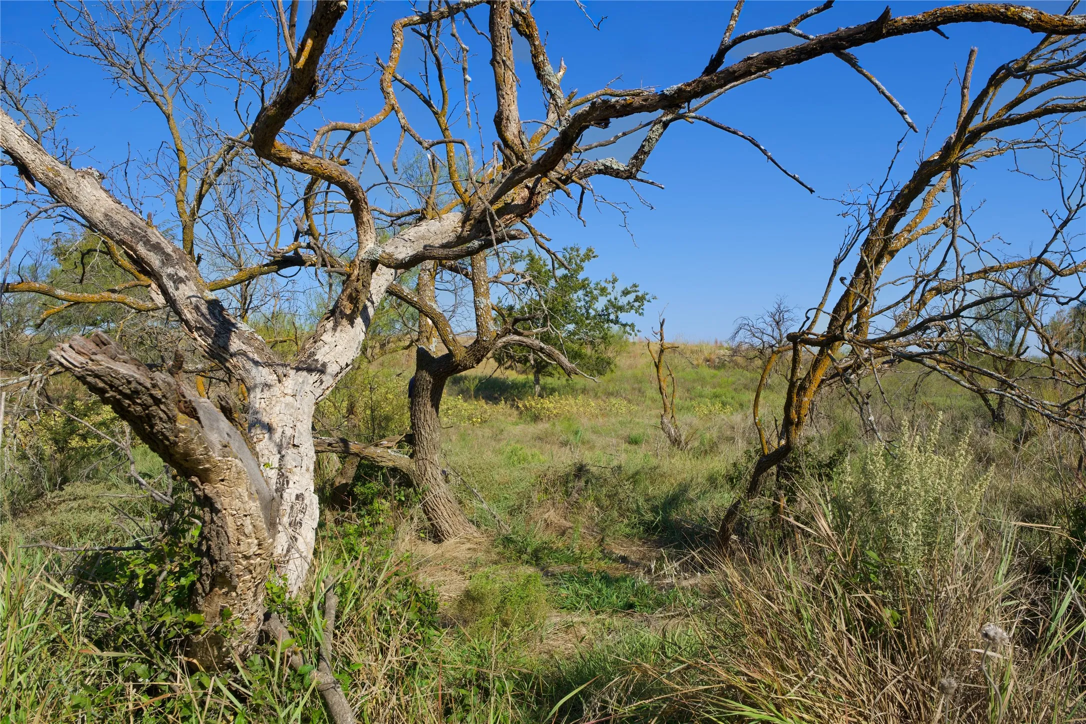 Ranch For Sale in Montague County , TBD HWY 81, Ringgold, Texas 76261, 0, 0, Garage spaces, 0 Sqft, built in 0, mls#20747254, Real Estate Agent in Ringgold, Homes For Sale in Montague county, Homes For Sale in Ringgold, Realtor in Ringgold Texas, Real Estate Brokerage Independent Realty Texas, Luminita Cordes Realtor