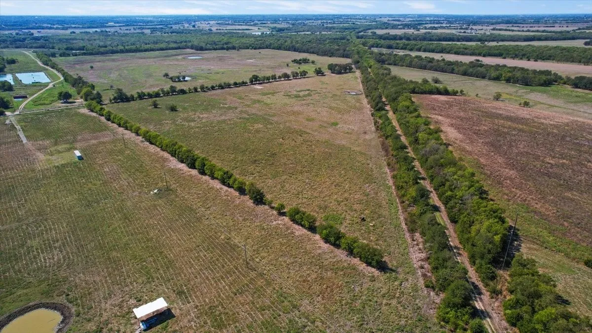 Bird's eye view with a rural view
