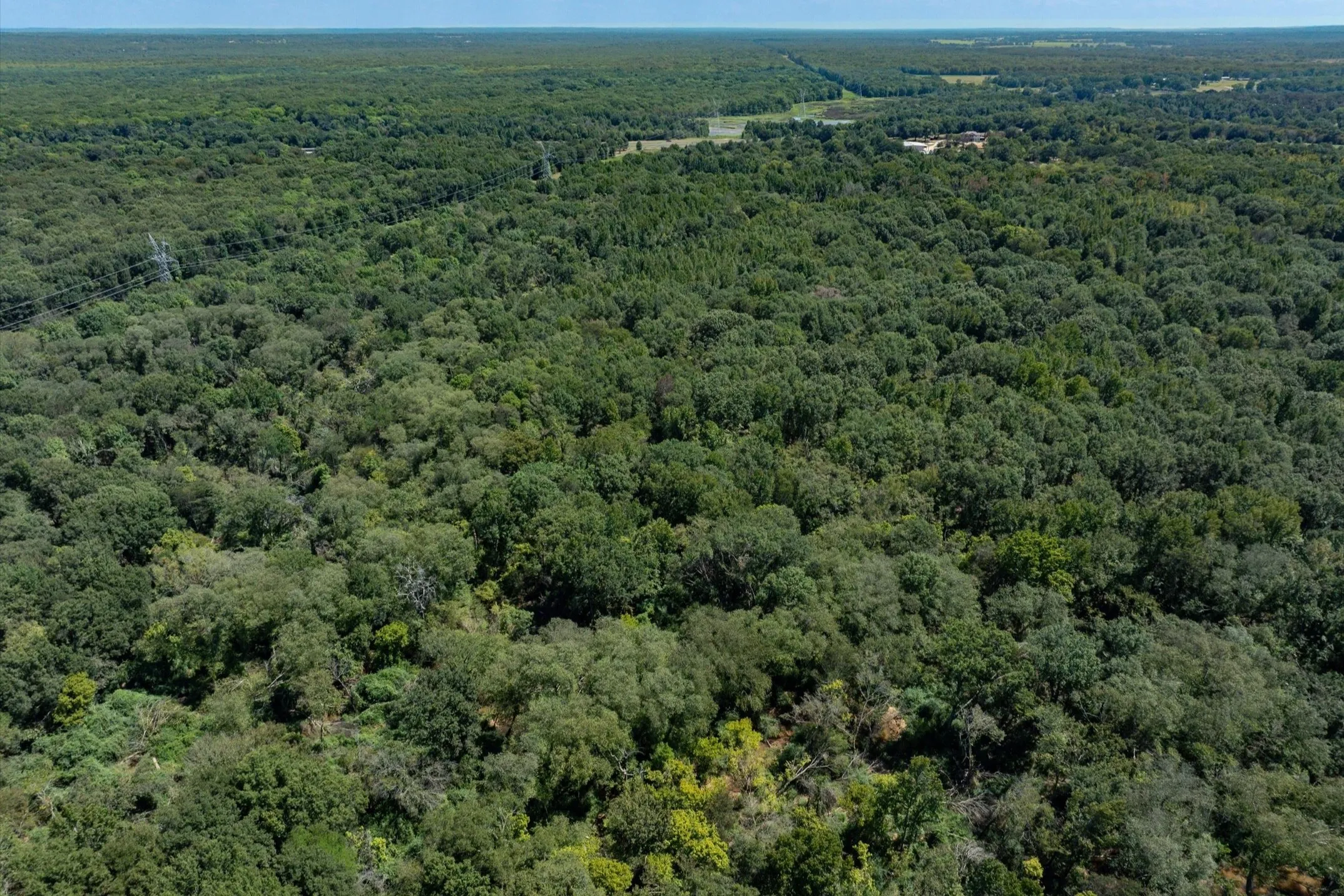Unimproved Land For Sale in Smith County , Tract B Hwy 69, Mineola, Texas 75773, 0, 0, Garage spaces, 0 Sqft, built in 0, mls#20750167, Real Estate Agent in Mineola, Homes For Sale in Smith county, Homes For Sale in Mineola, Realtor in Mineola Texas, Real Estate Brokerage Independent Realty Texas, Luminita Cordes Realtor