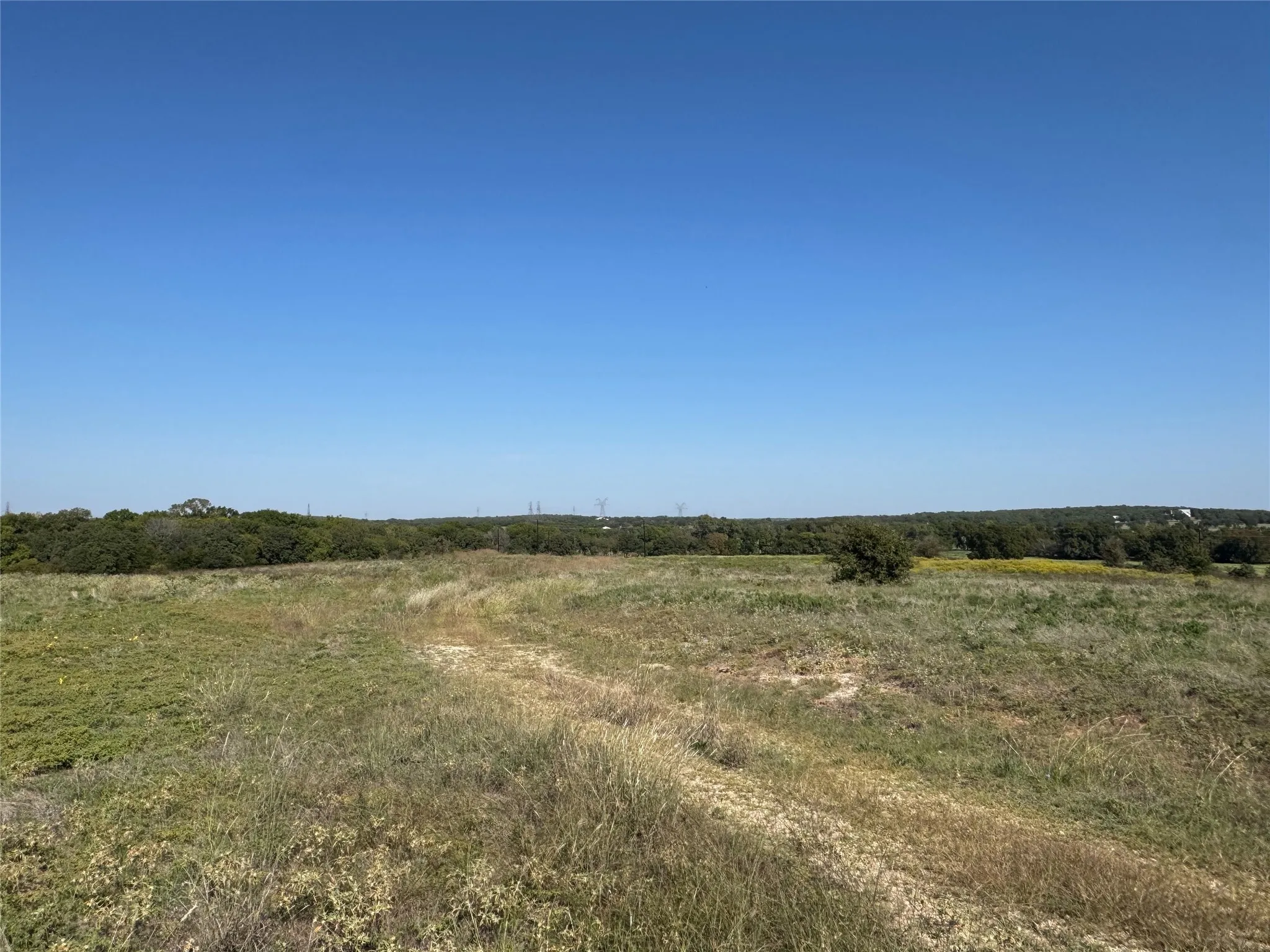 View of local wilderness with a rural view