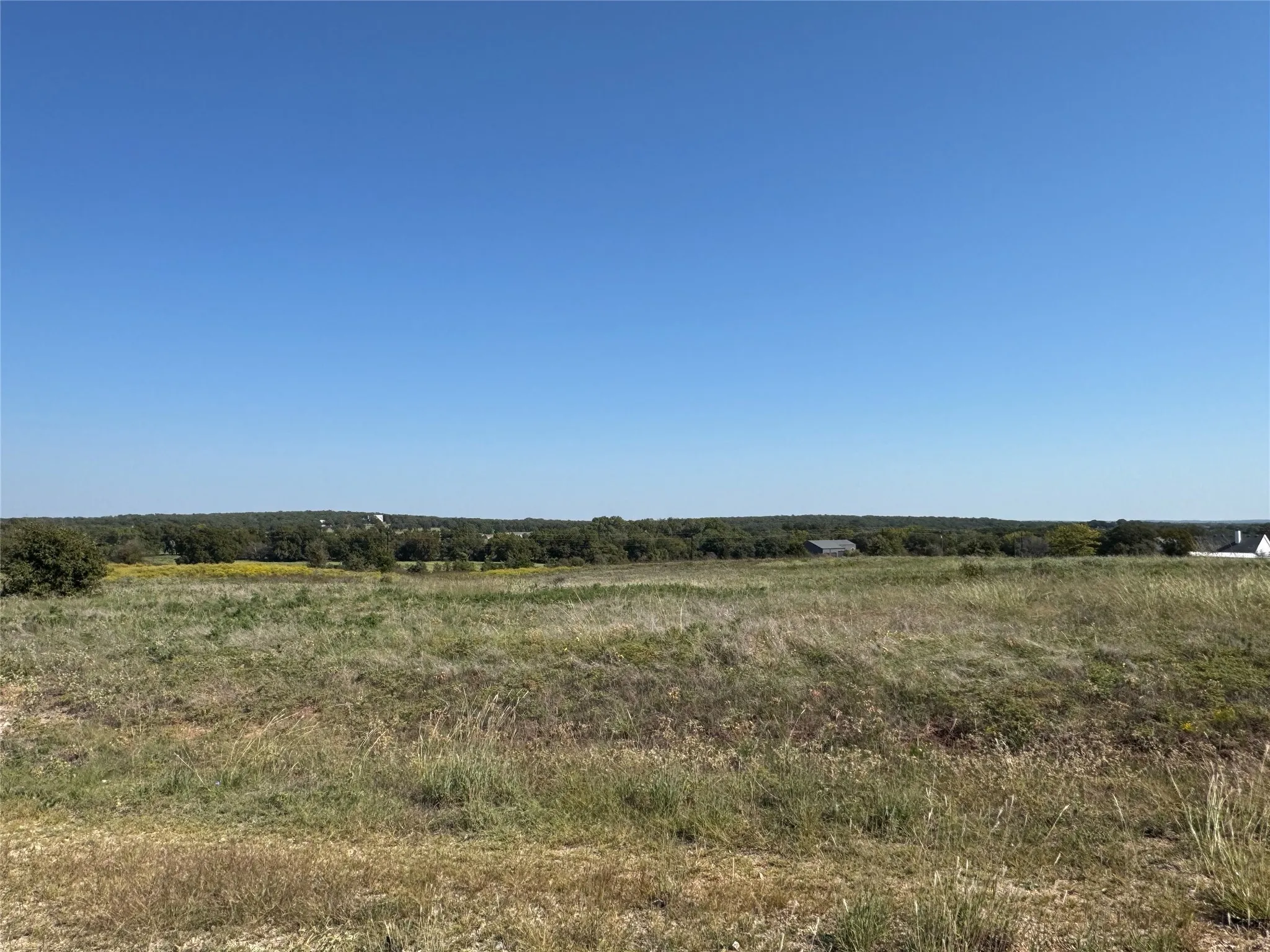 View of local wilderness featuring a rural view