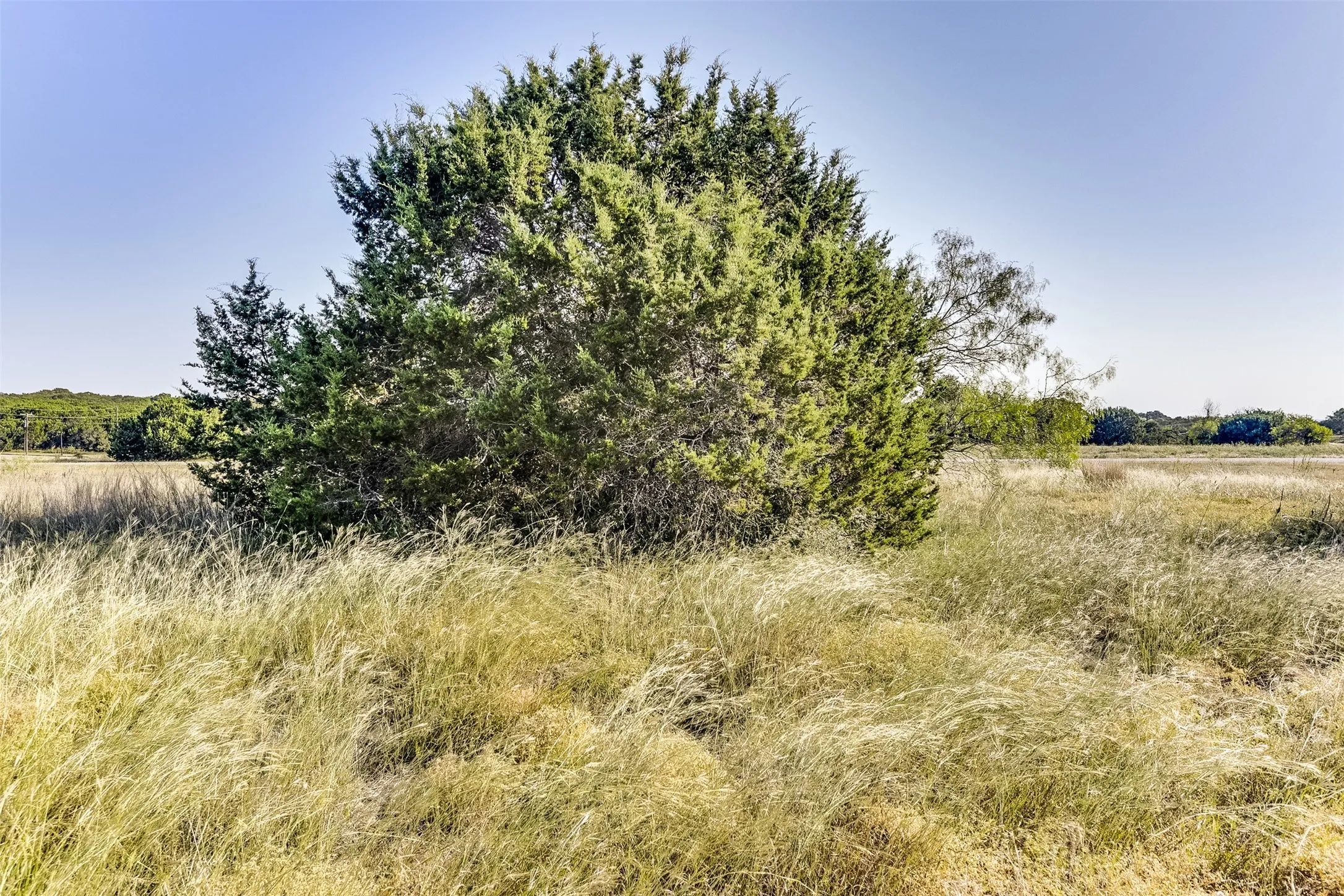 View of landscape featuring a rural view