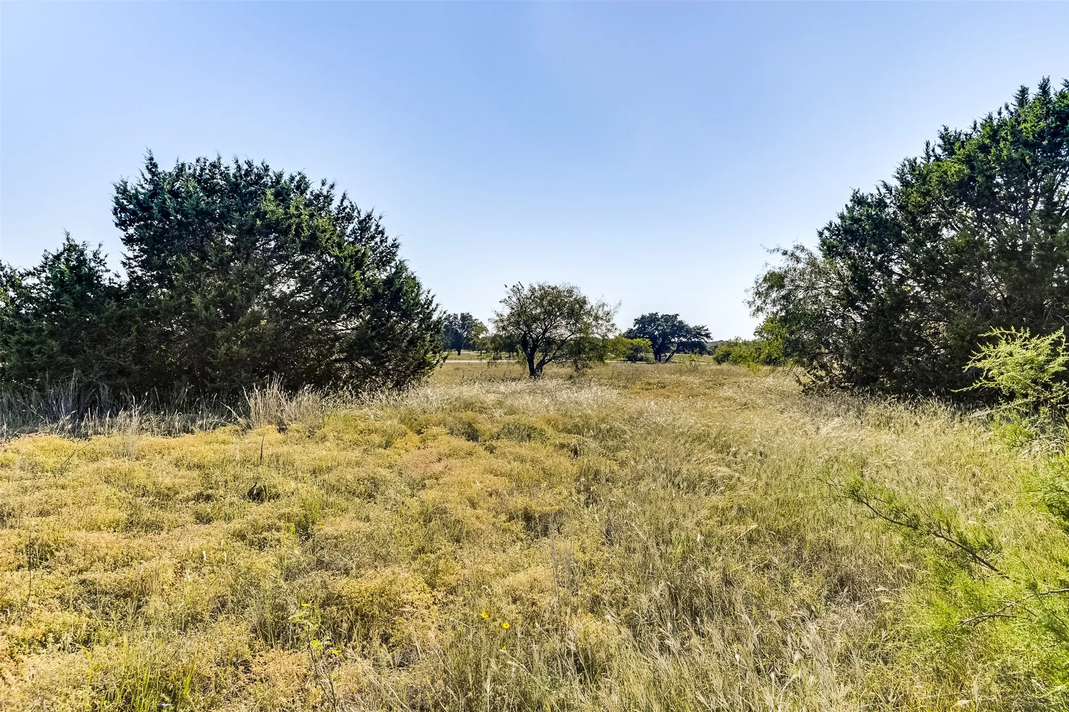 View of landscape featuring a rural view