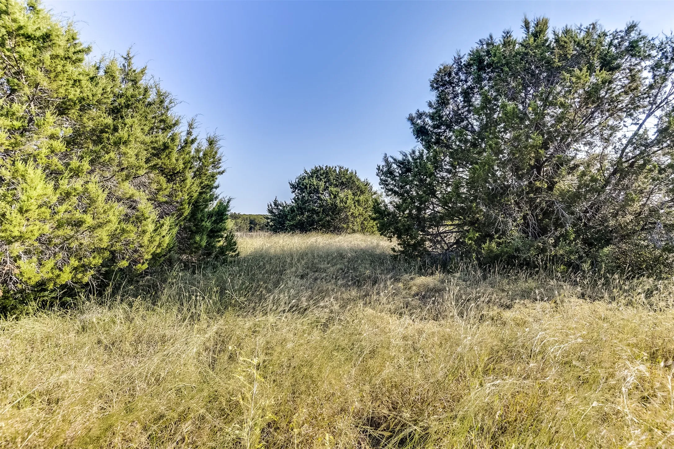 View of landscape
