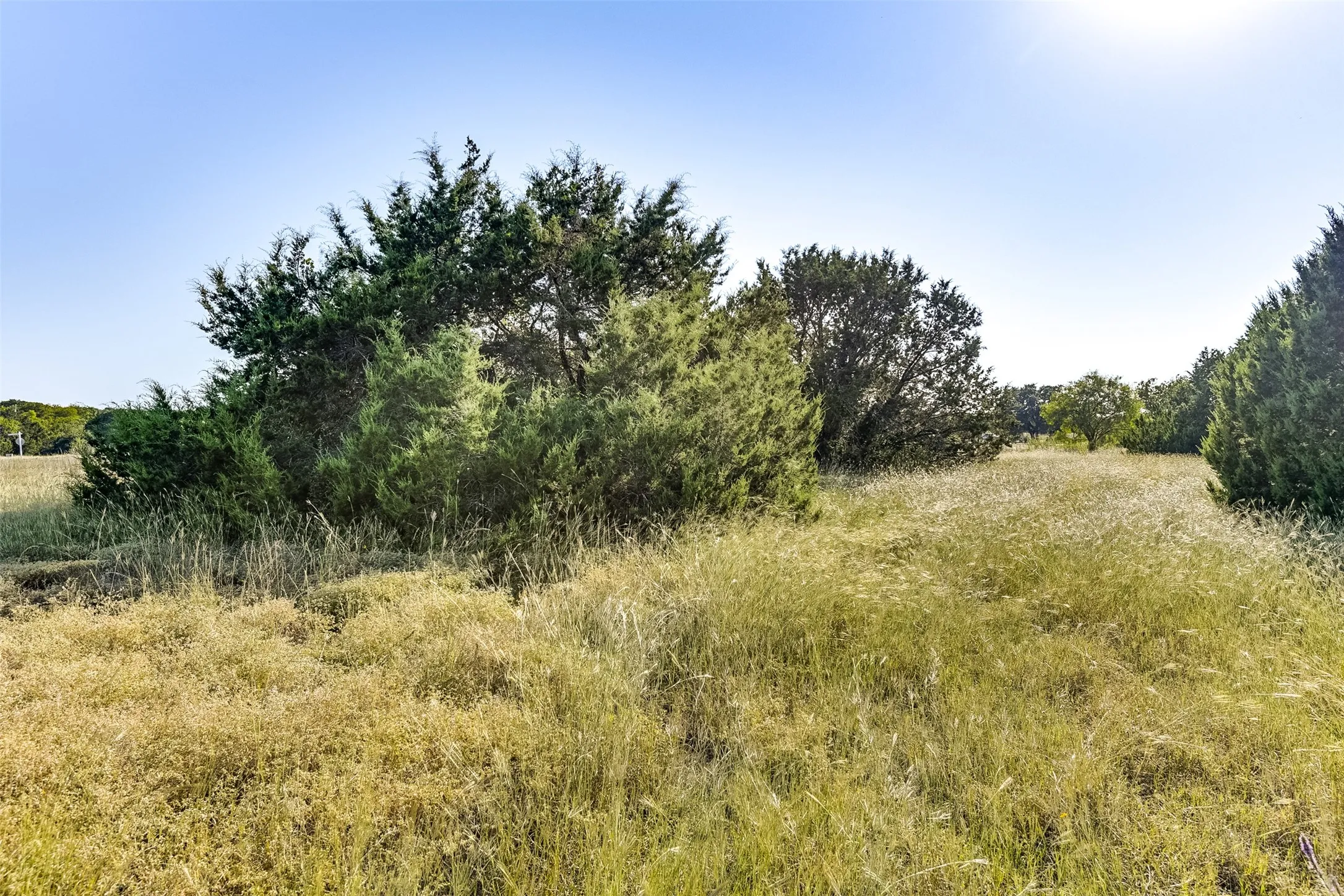 View of nature with a rural view