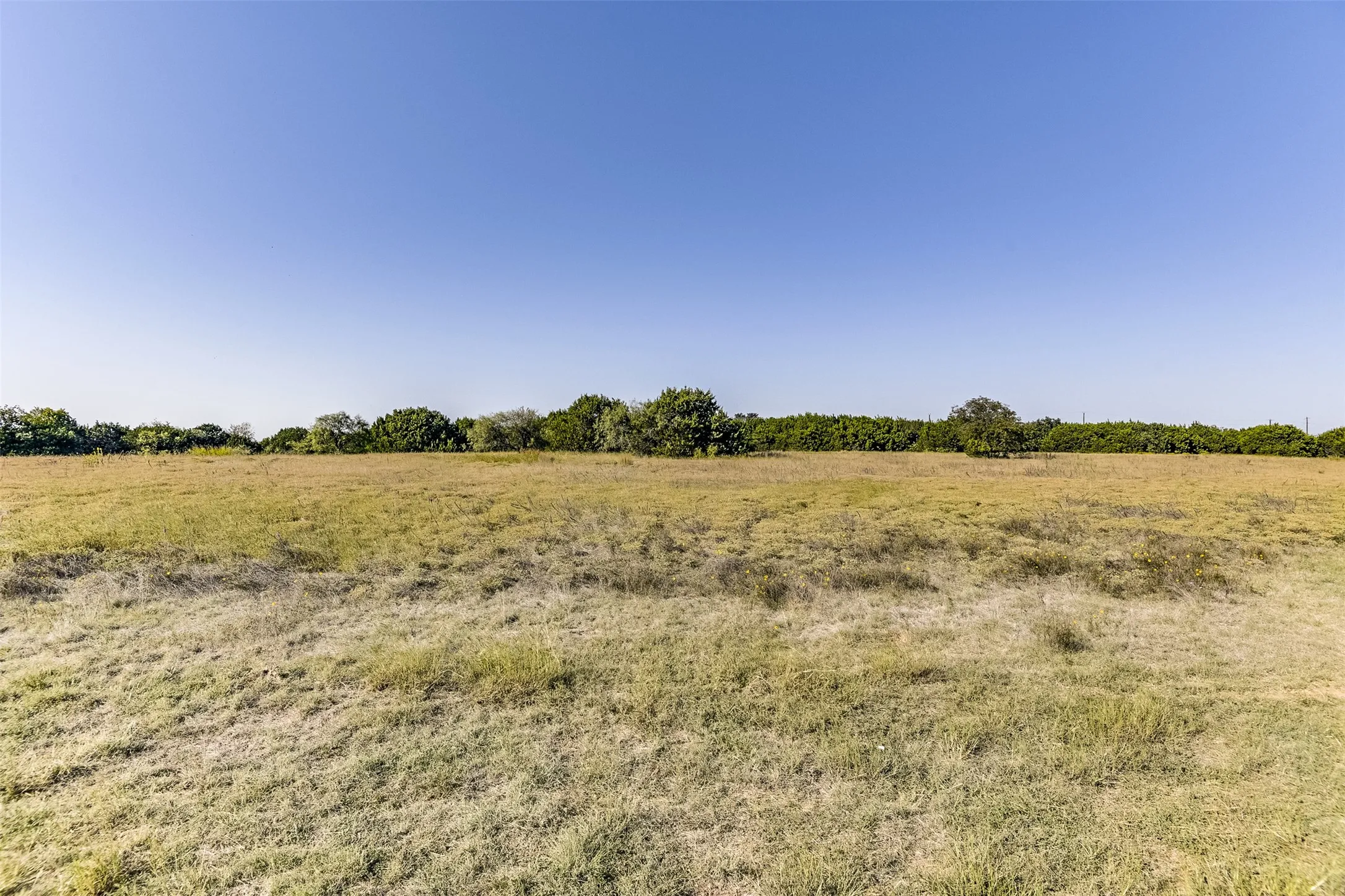 View of local wilderness featuring a rural view
