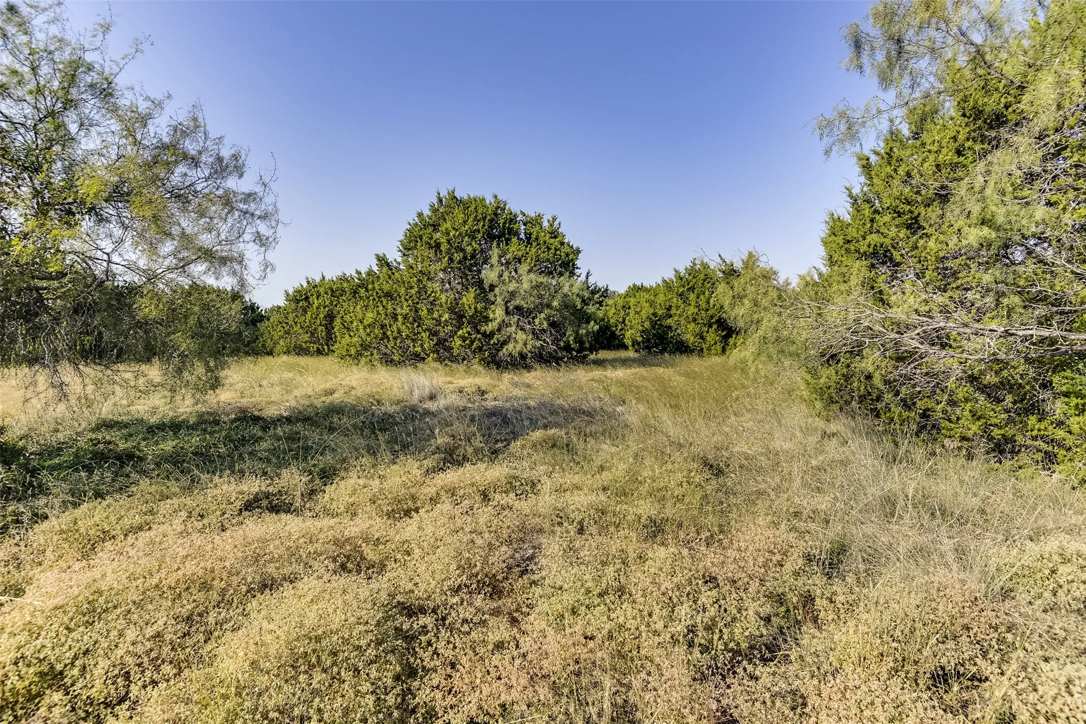 View of landscape