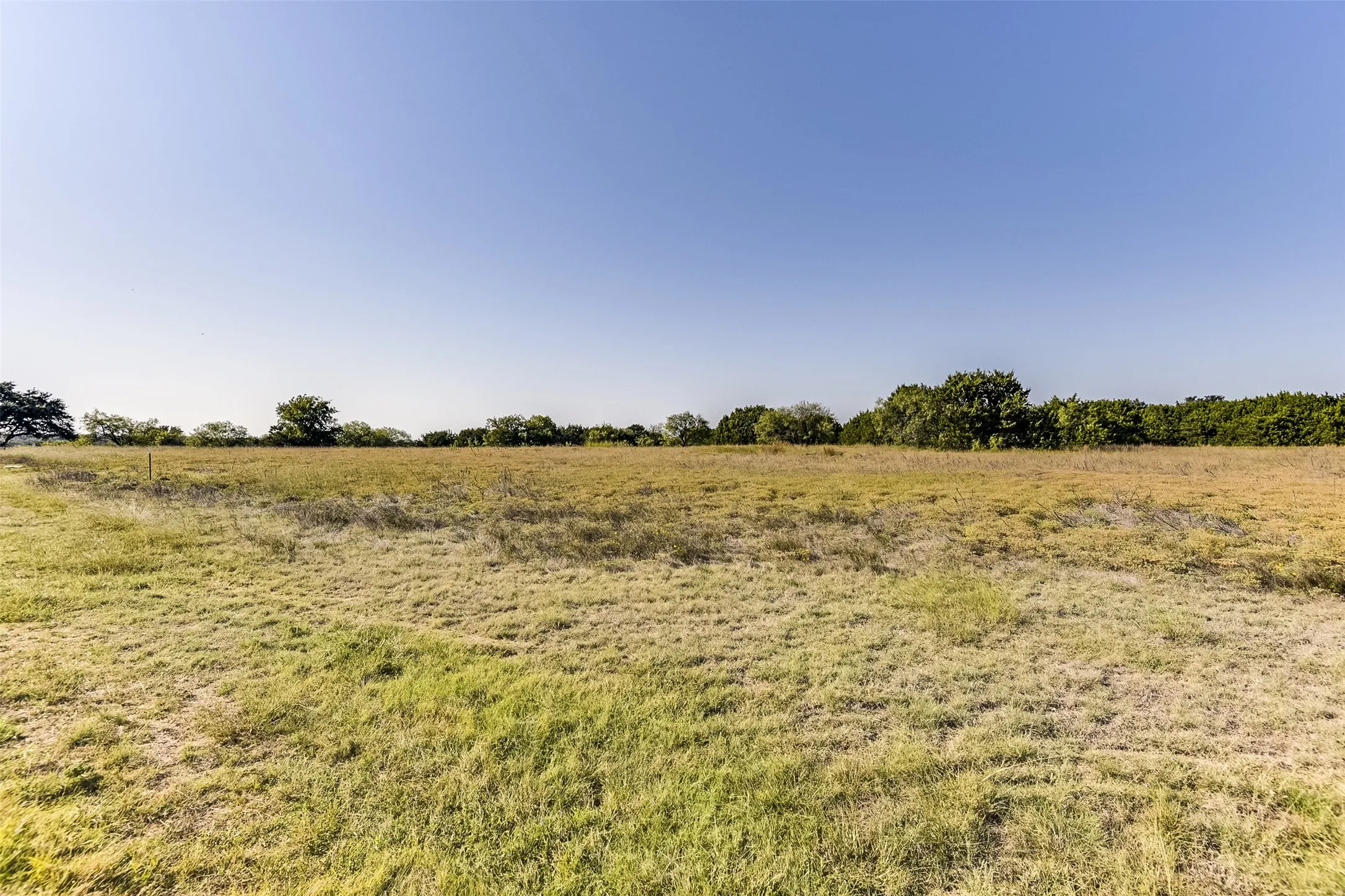 View of local wilderness with a rural view