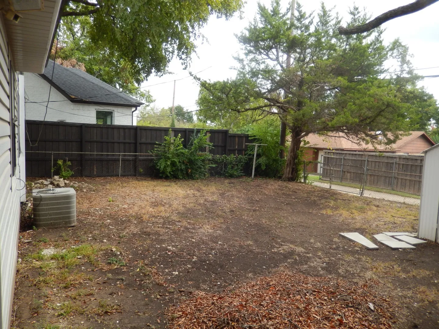 backyard