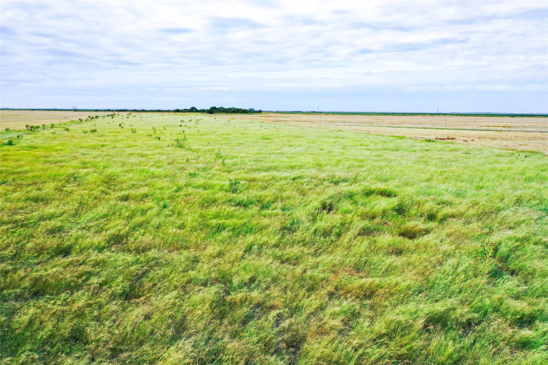 Ranch For Sale in Haskell County , TBD CR 223, Weinert, Texas 76388, 0, 0, Garage spaces, 0 Sqft, built in 0, mls#20755810, Real Estate Agent in Weinert, Homes For Sale in Haskell county, Homes For Sale in Weinert, Realtor in Weinert Texas, Real Estate Brokerage Independent Realty Texas, Luminita Cordes Realtor