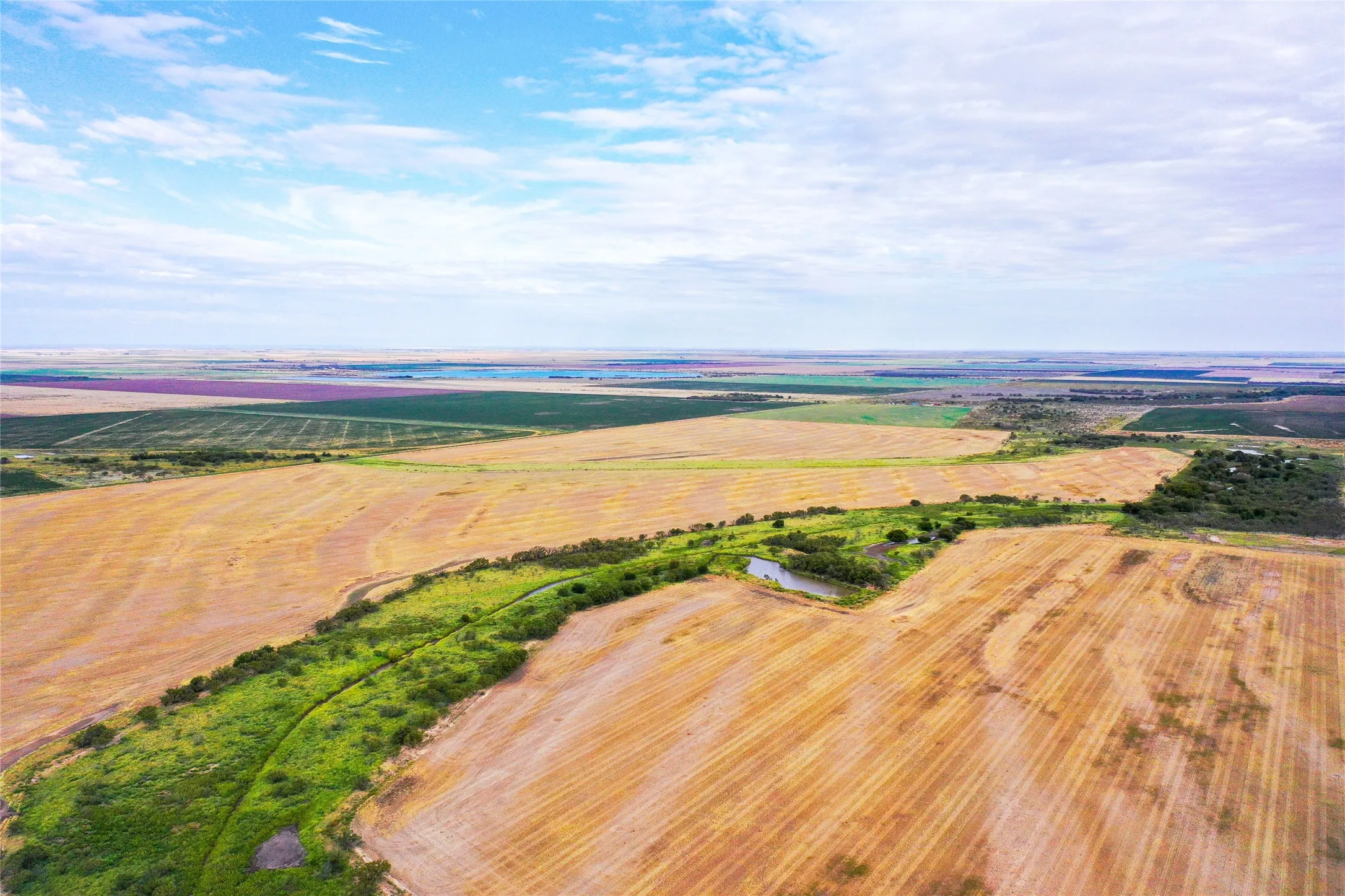 Ranch For Sale in Haskell County , TBD CR 223, Weinert, Texas 76388, 0, 0, Garage spaces, 0 Sqft, built in 0, mls#20755810, Real Estate Agent in Weinert, Homes For Sale in Haskell county, Homes For Sale in Weinert, Realtor in Weinert Texas, Real Estate Brokerage Independent Realty Texas, Luminita Cordes Realtor
