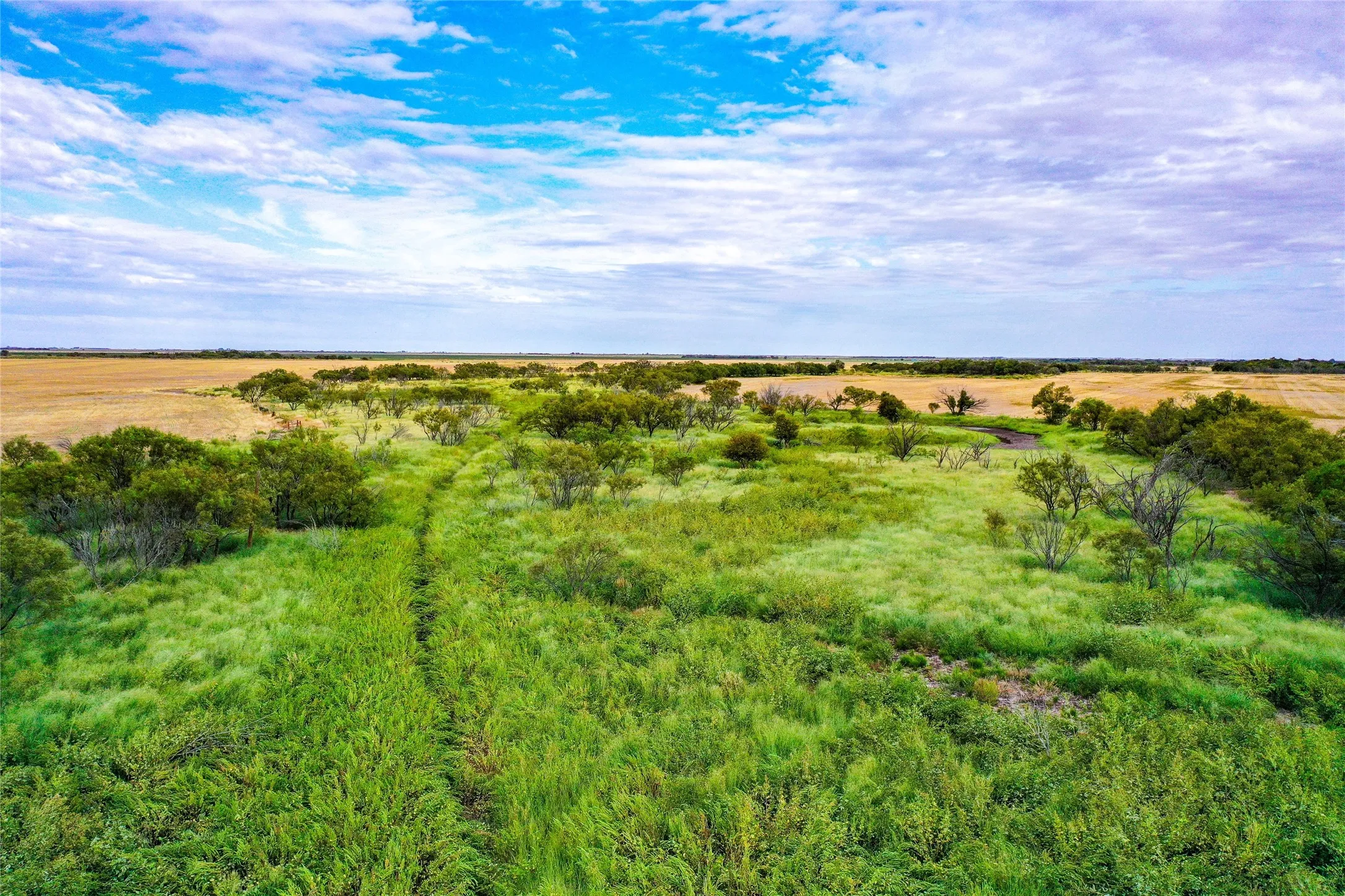 Ranch For Sale in Haskell County , TBD CR 223, Weinert, Texas 76388, 0, 0, Garage spaces, 0 Sqft, built in 0, mls#20755810, Real Estate Agent in Weinert, Homes For Sale in Haskell county, Homes For Sale in Weinert, Realtor in Weinert Texas, Real Estate Brokerage Independent Realty Texas, Luminita Cordes Realtor