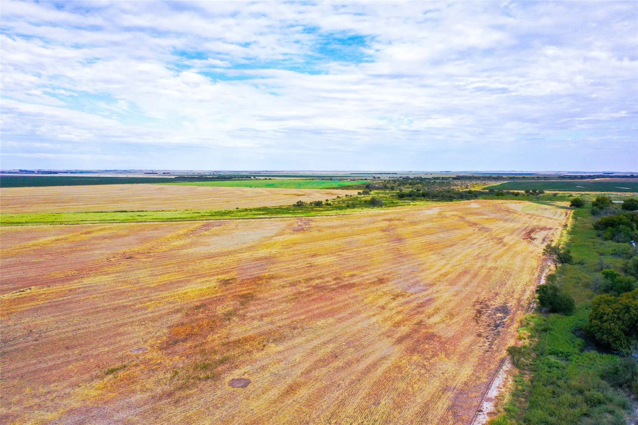 Ranch For Sale in Haskell County , TBD CR 223, Weinert, Texas 76388, 0, 0, Garage spaces, 0 Sqft, built in 0, mls#20755810, Real Estate Agent in Weinert, Homes For Sale in Haskell county, Homes For Sale in Weinert, Realtor in Weinert Texas, Real Estate Brokerage Independent Realty Texas, Luminita Cordes Realtor