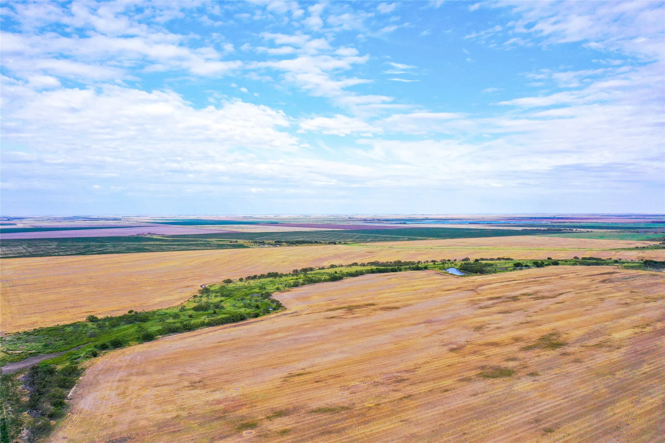 Ranch For Sale in Haskell County , TBD CR 223, Weinert, Texas 76388, 0, 0, Garage spaces, 0 Sqft, built in 0, mls#20755810, Real Estate Agent in Weinert, Homes For Sale in Haskell county, Homes For Sale in Weinert, Realtor in Weinert Texas, Real Estate Brokerage Independent Realty Texas, Luminita Cordes Realtor