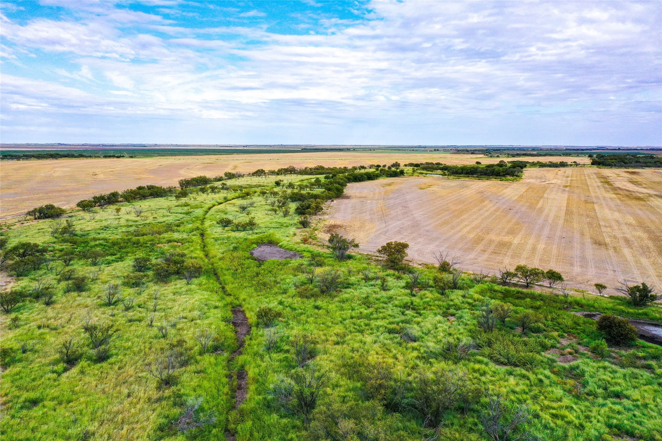 Ranch For Sale in Haskell County , TBD CR 223, Weinert, Texas 76388, 0, 0, Garage spaces, 0 Sqft, built in 0, mls#20755810, Real Estate Agent in Weinert, Homes For Sale in Haskell county, Homes For Sale in Weinert, Realtor in Weinert Texas, Real Estate Brokerage Independent Realty Texas, Luminita Cordes Realtor