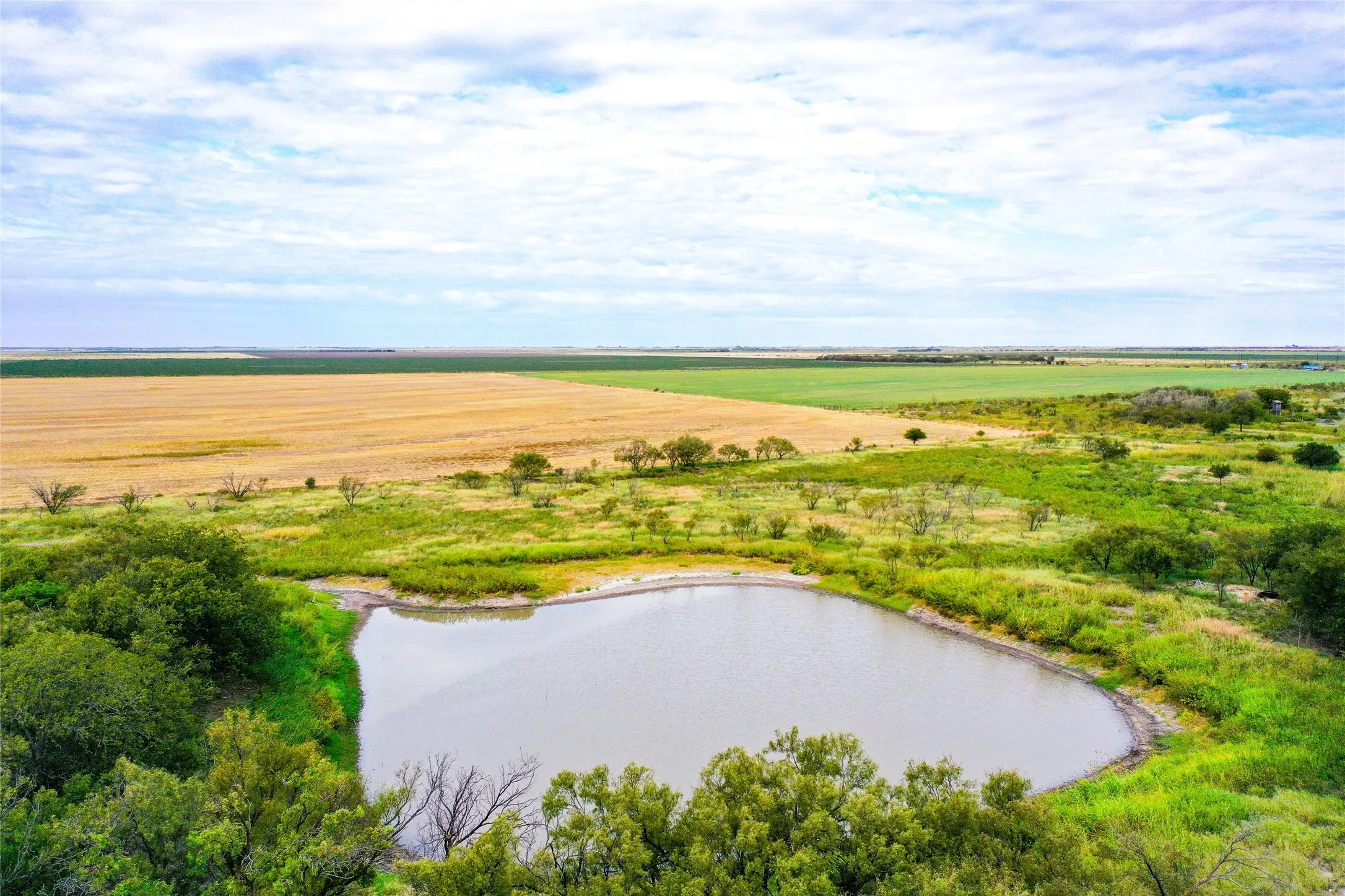 Ranch For Sale in Haskell County , TBD CR 223, Weinert, Texas 76388, 0, 0, Garage spaces, 0 Sqft, built in 0, mls#20755810, Real Estate Agent in Weinert, Homes For Sale in Haskell county, Homes For Sale in Weinert, Realtor in Weinert Texas, Real Estate Brokerage Independent Realty Texas, Luminita Cordes Realtor